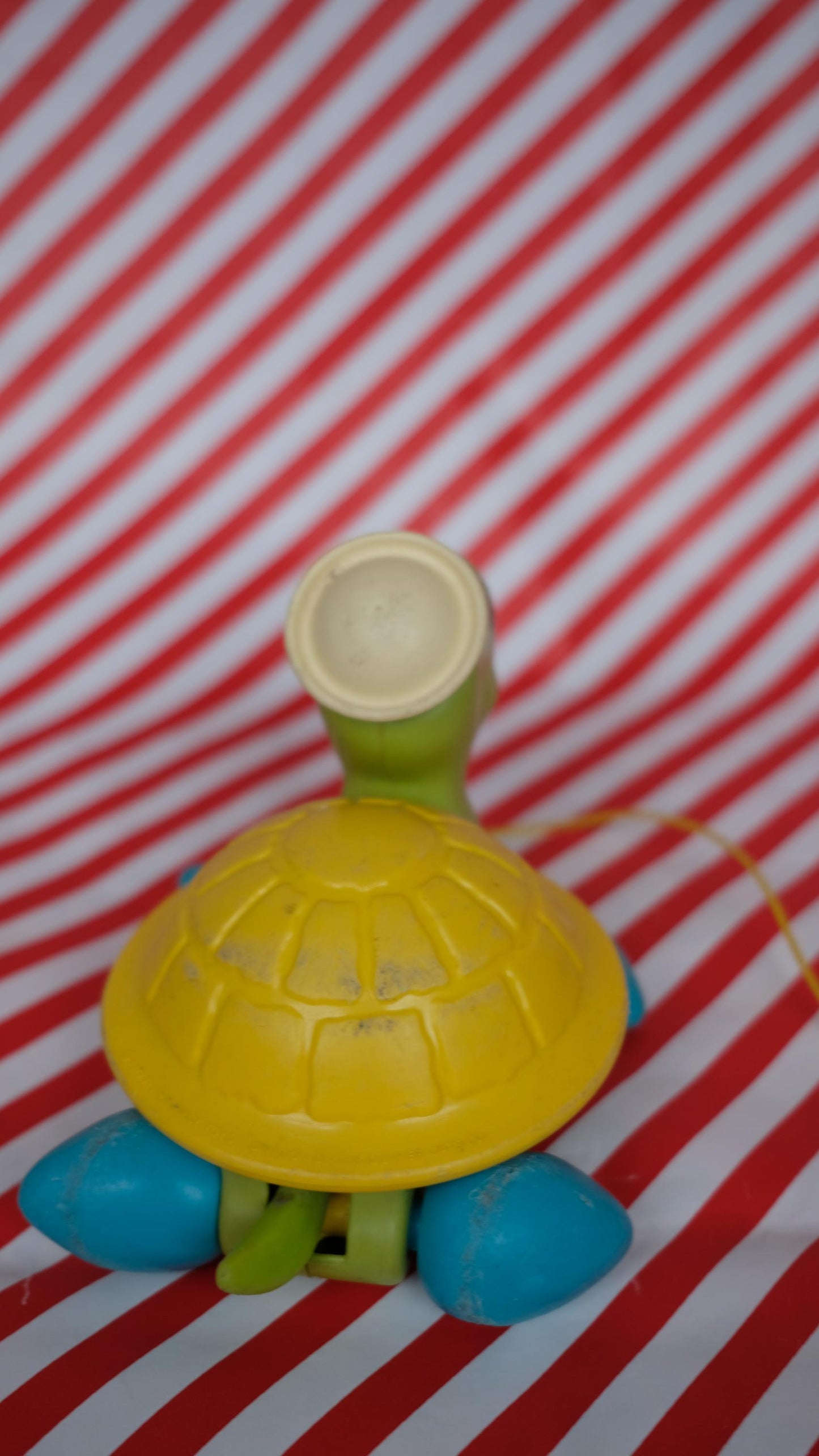 Tortues roulantes fisher price