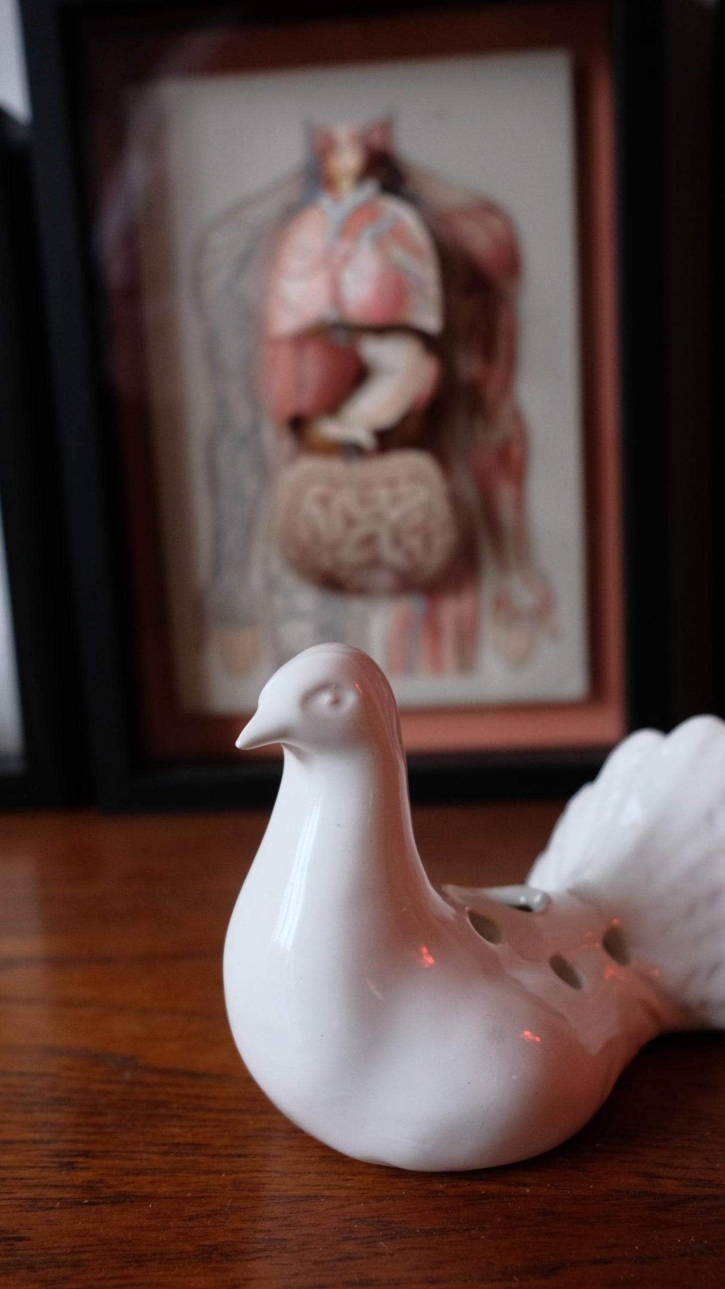 Pique fleurs vintage zoomorphe en forme de tourterelle