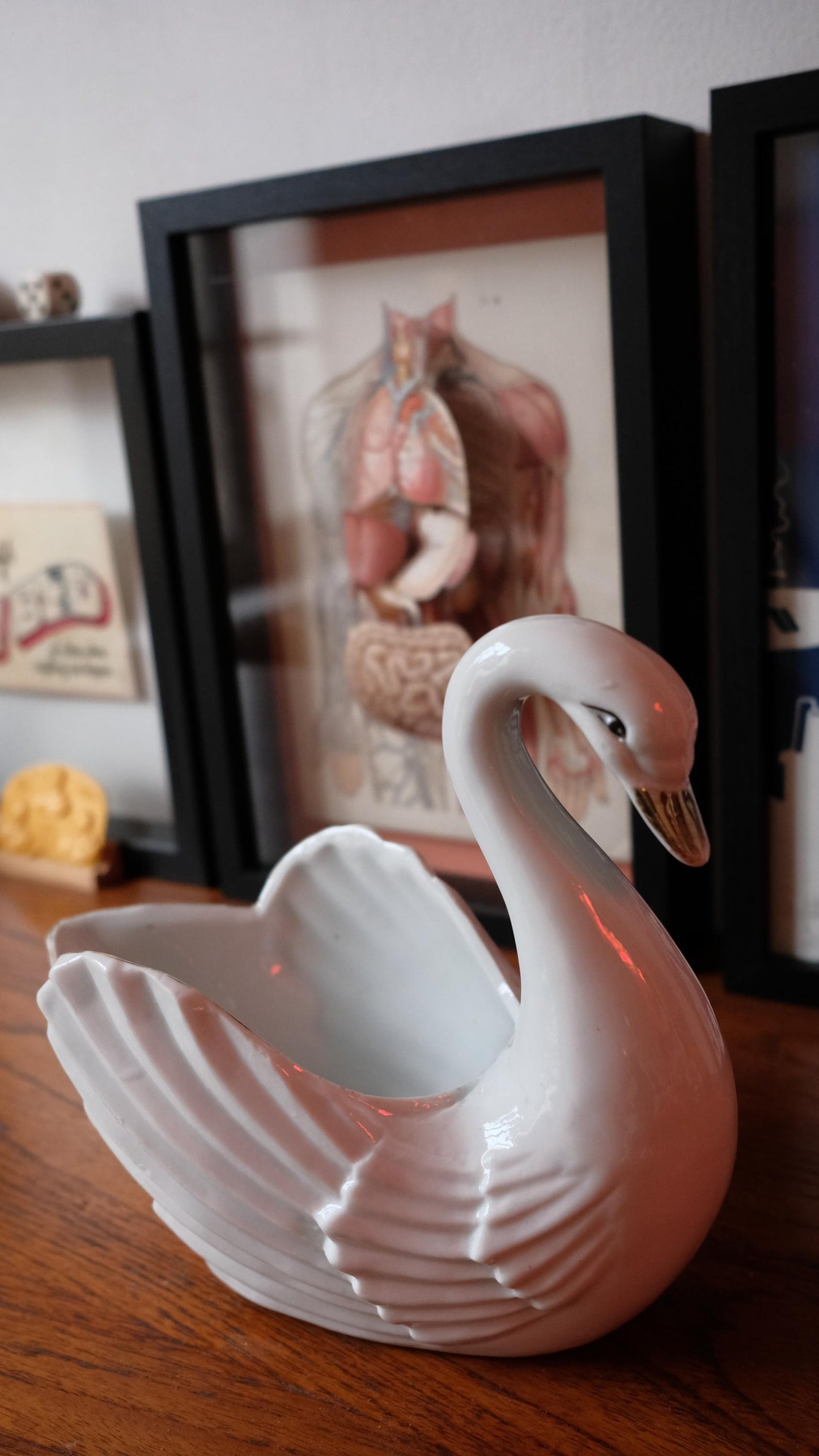 Cache pot cygne vintage