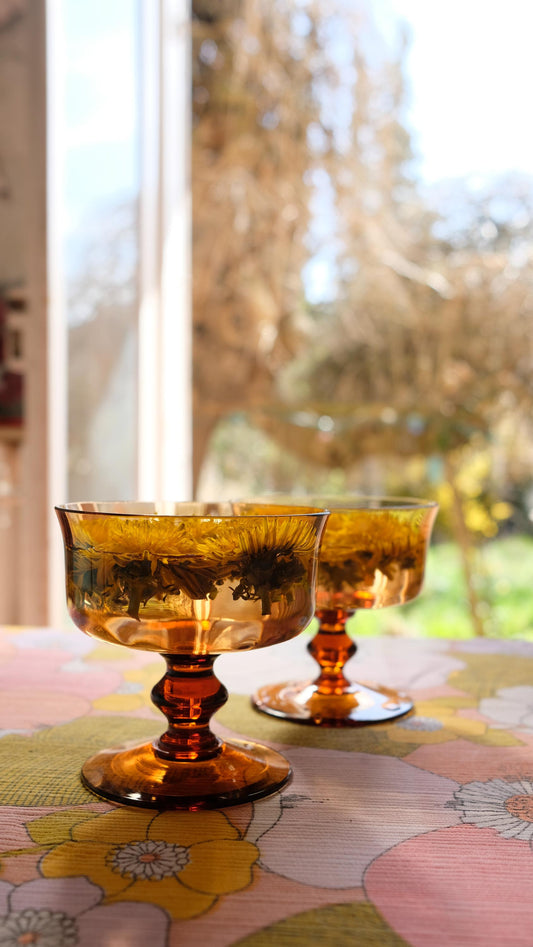 Verres à pied ambrés