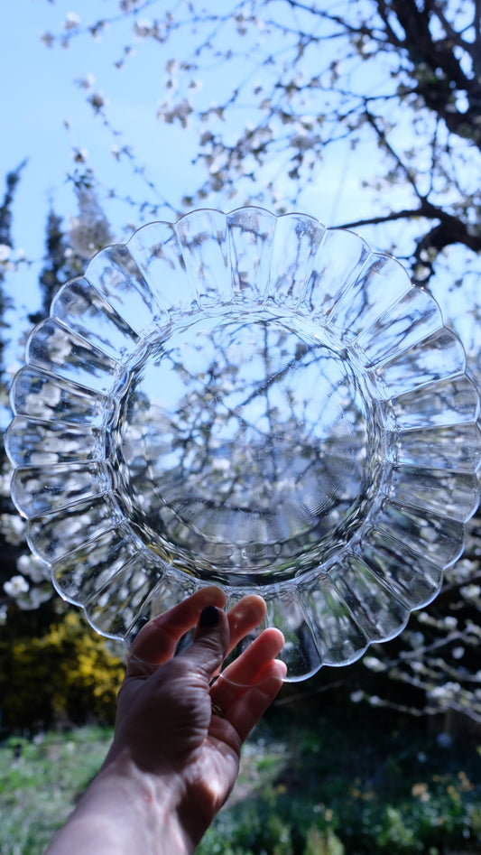 Assiettes duralex en forme de fleur