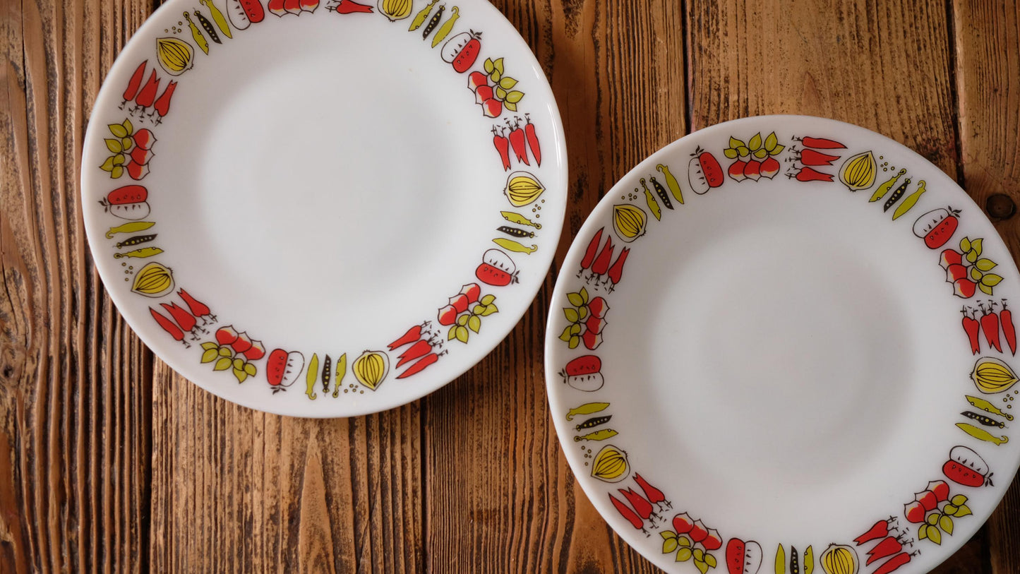 Lot de deux grandes assiettes Jaj Pyrex made in England