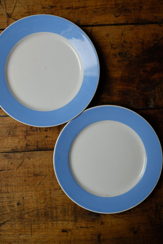 Lot de deux assiettes digoin sarreguemines