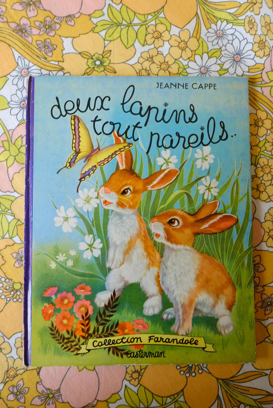 Deux lapins tout pareils, collection farandole