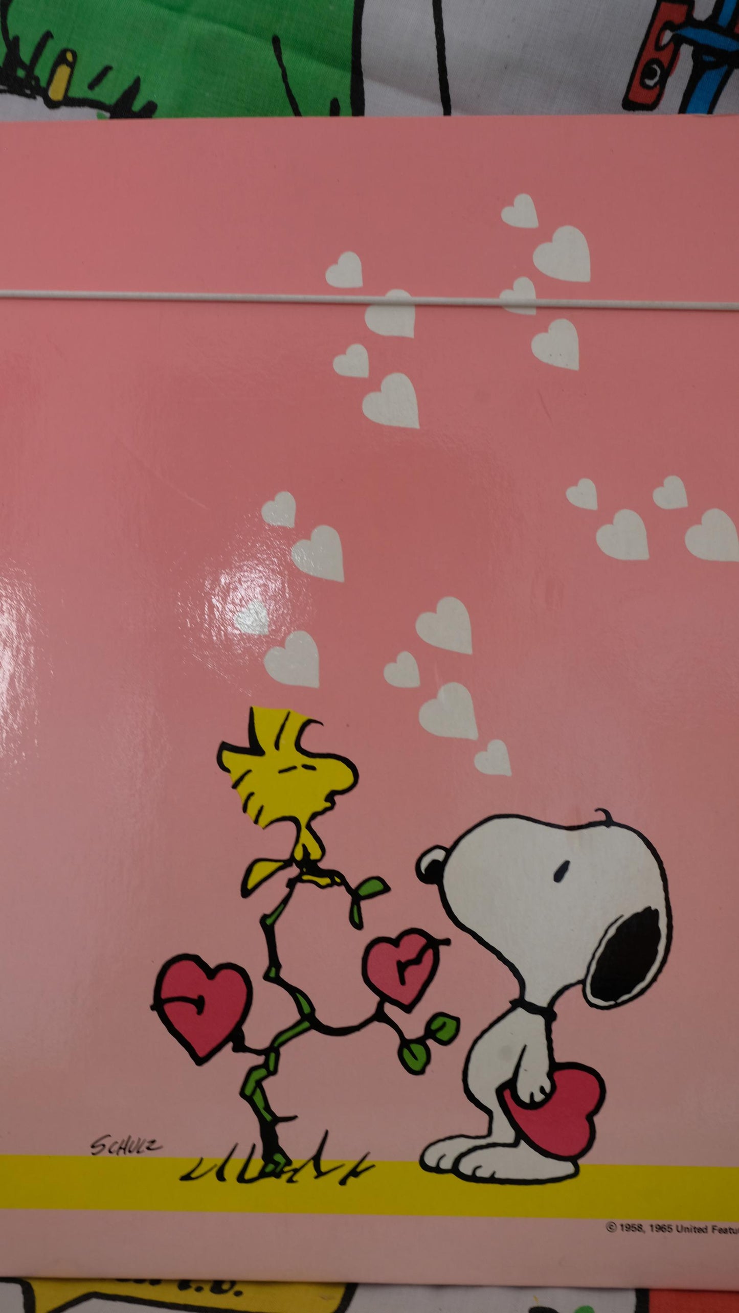 Carton à dessin vintage rose