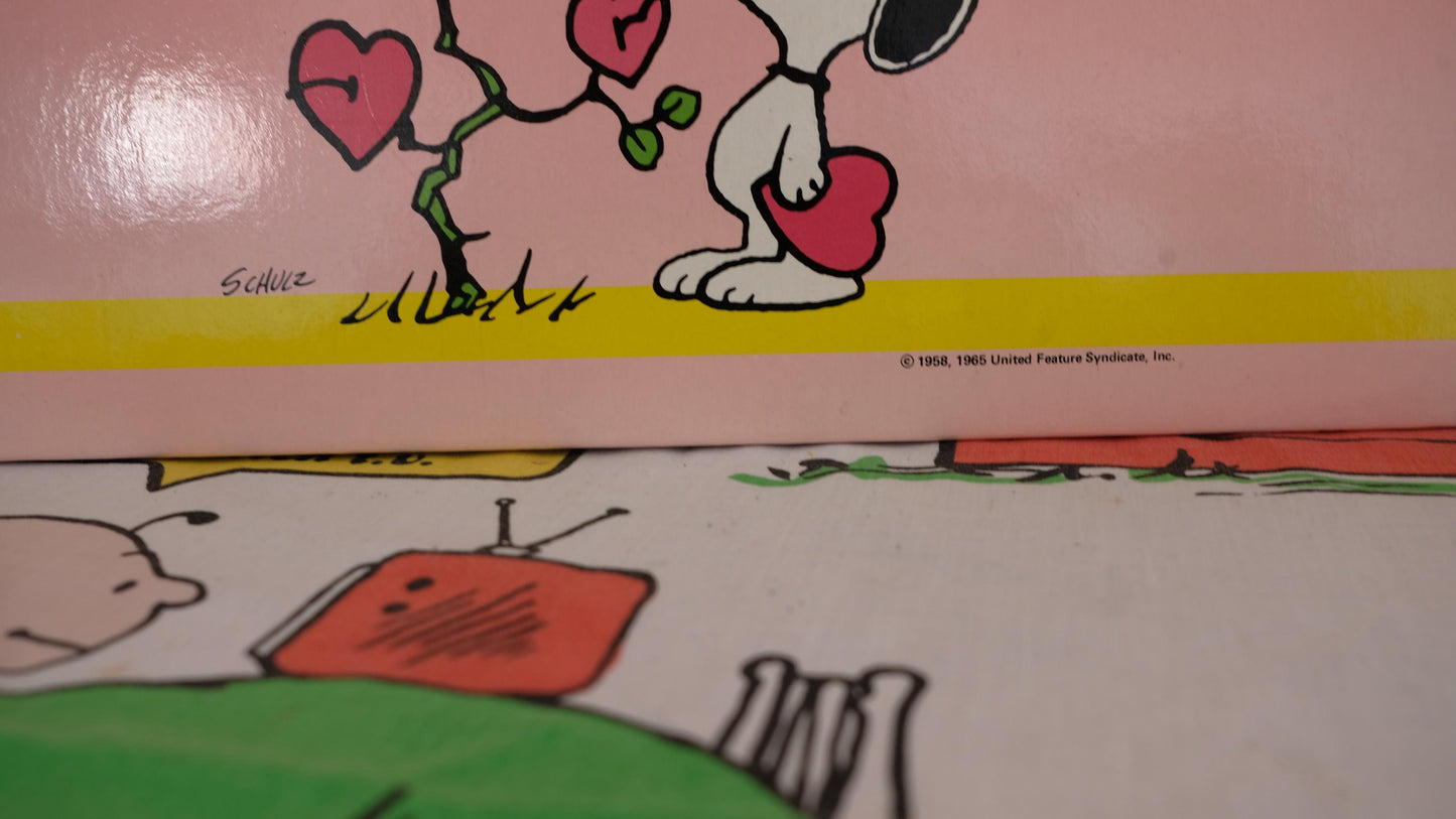 Carton à dessin vintage rose
