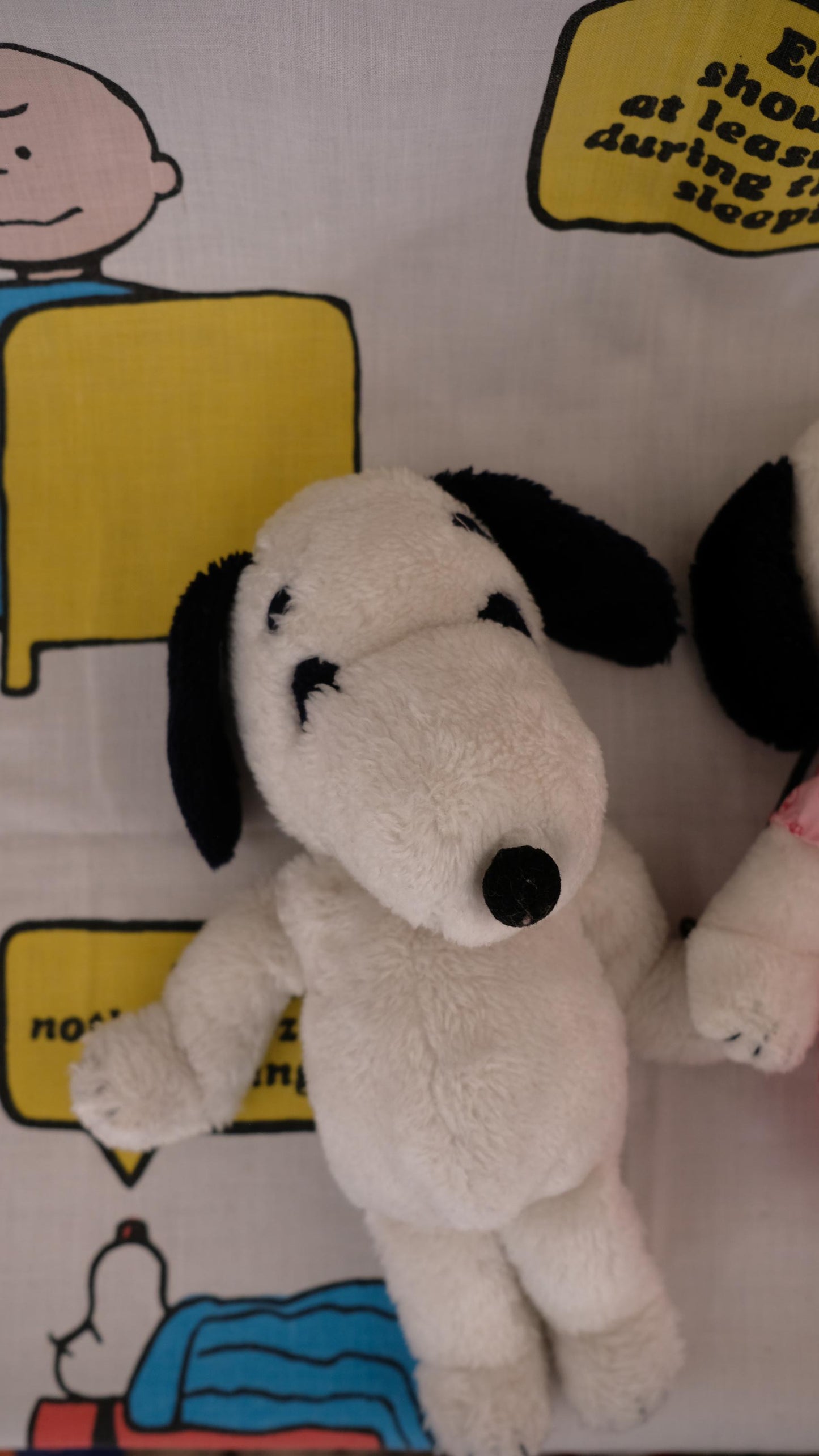 Couple Peluche Snoopy+Belle vintage
