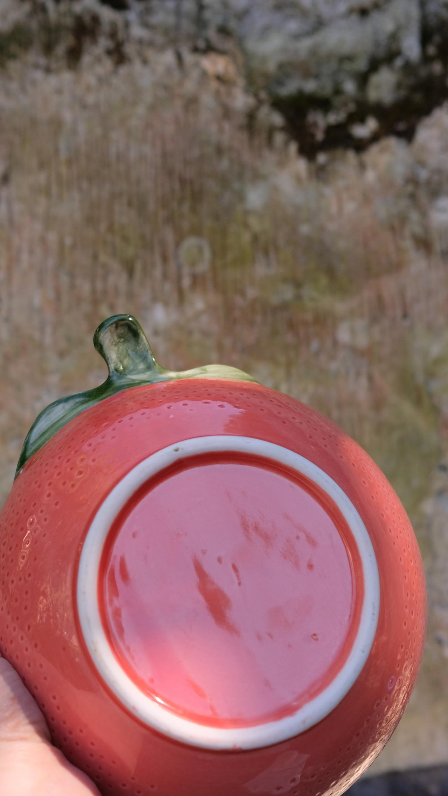 Gand bol de présentation vintage en forme de pamplemousse rose