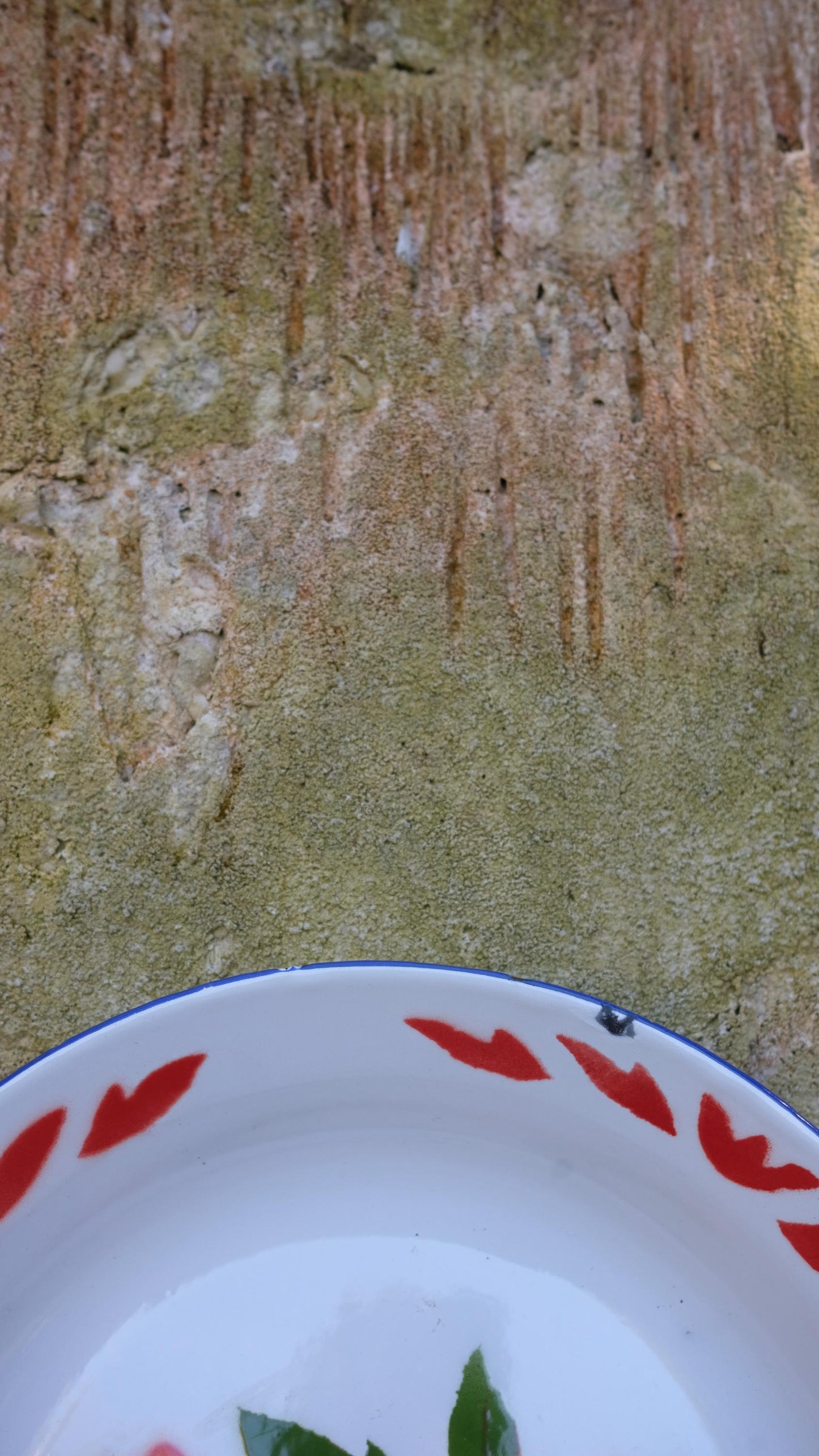 Plat creux en tôle émaillée