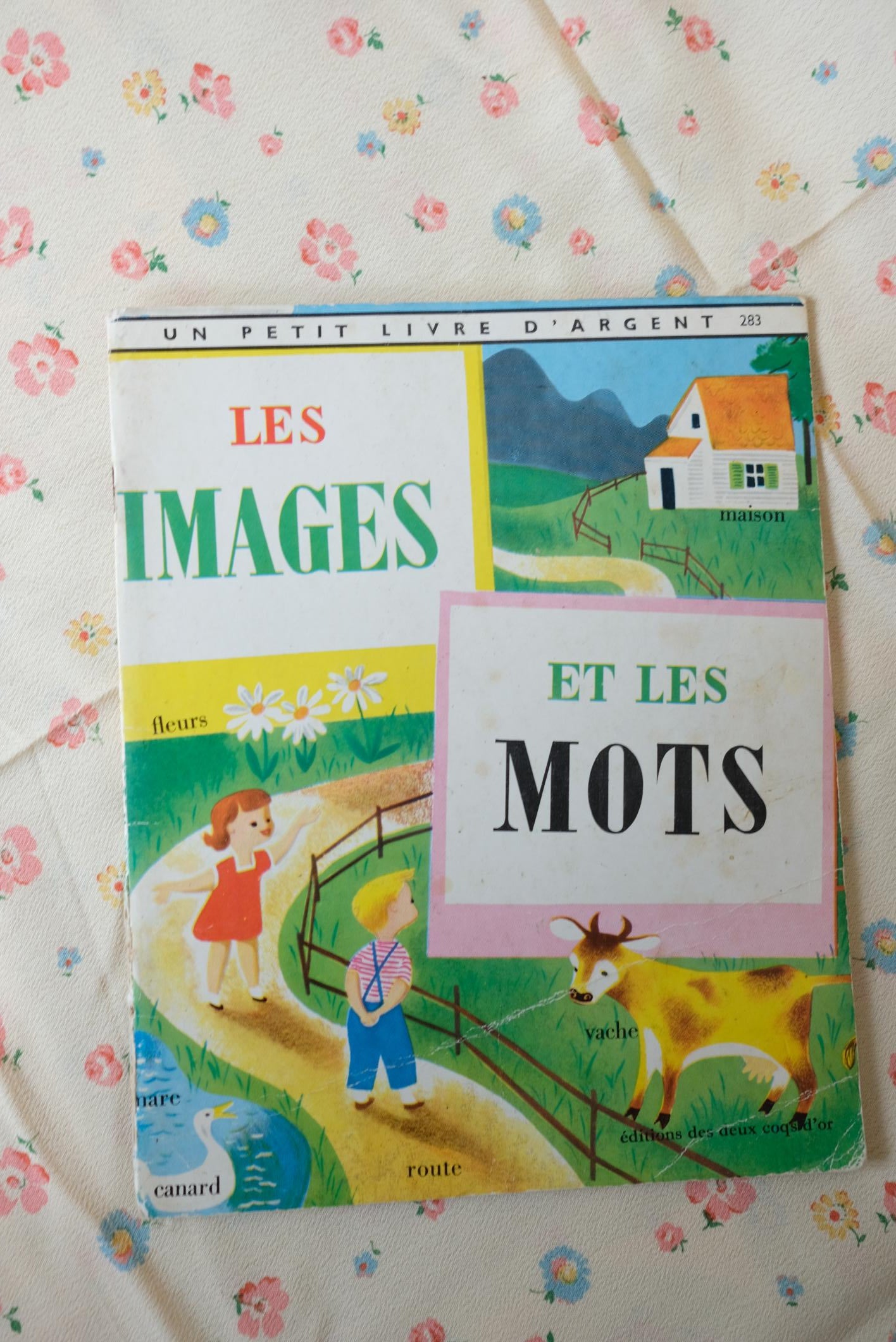 Sélection de petits livres