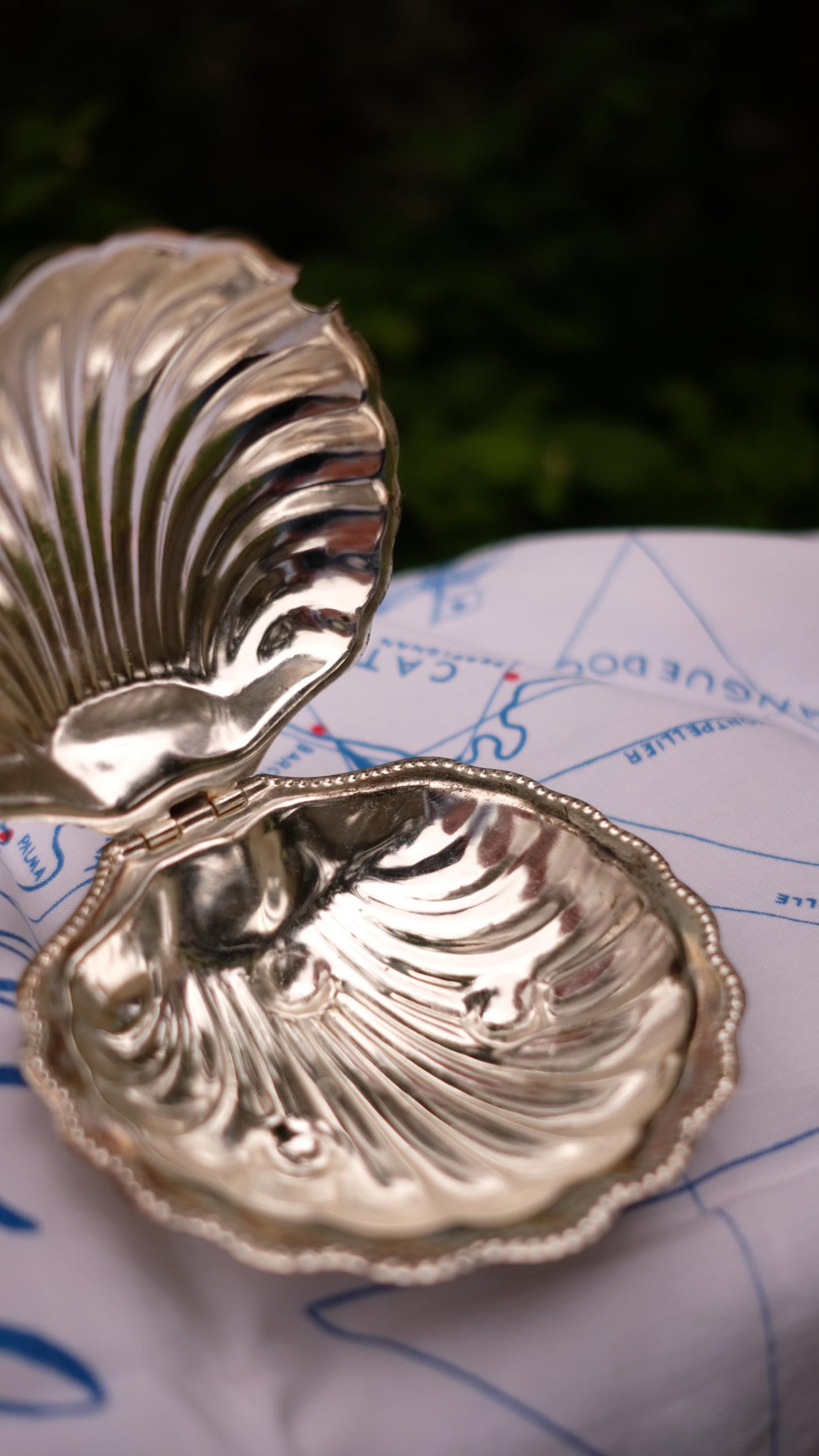 Beurrier coquillage vintage