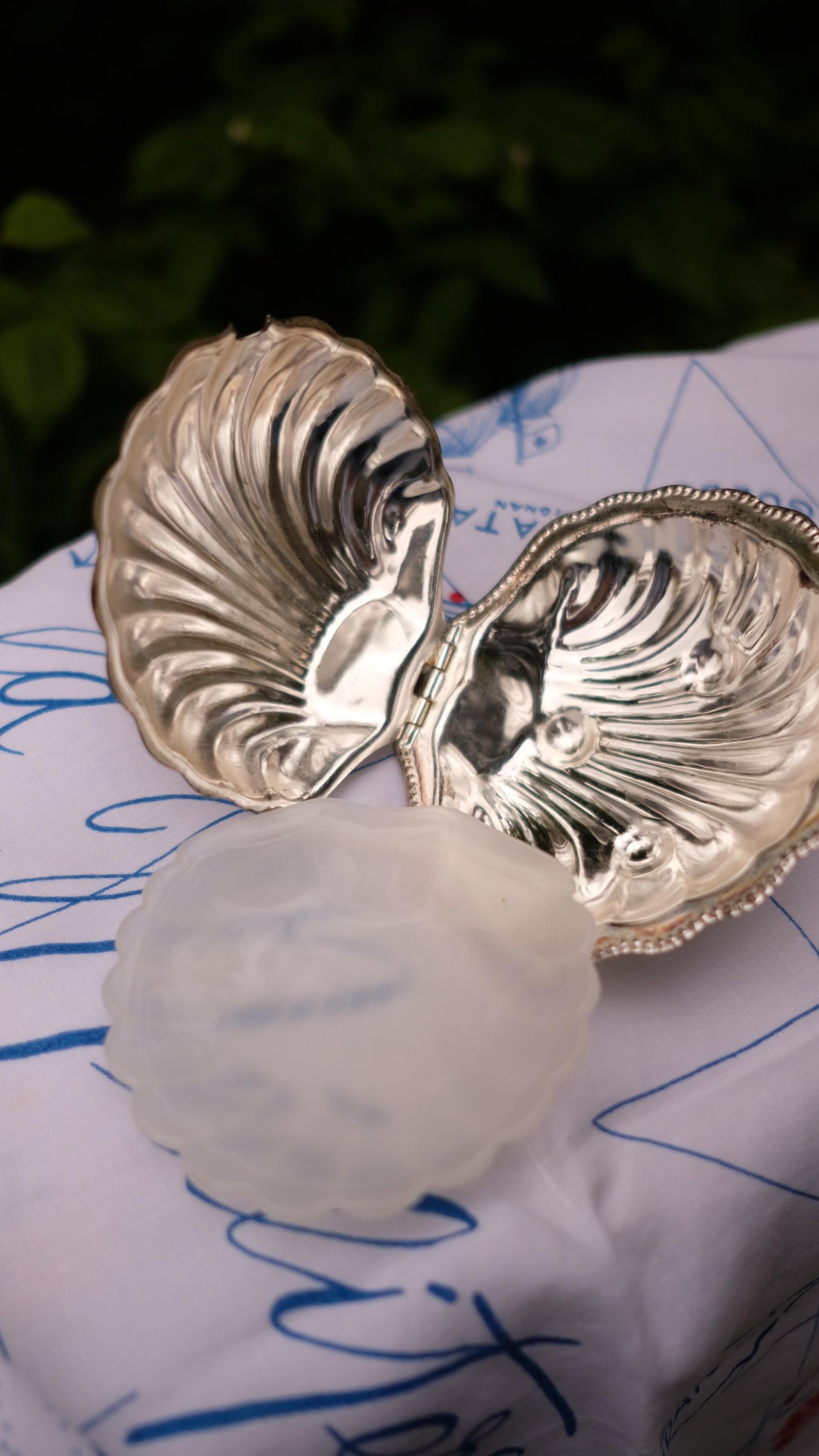 Beurrier coquillage vintage