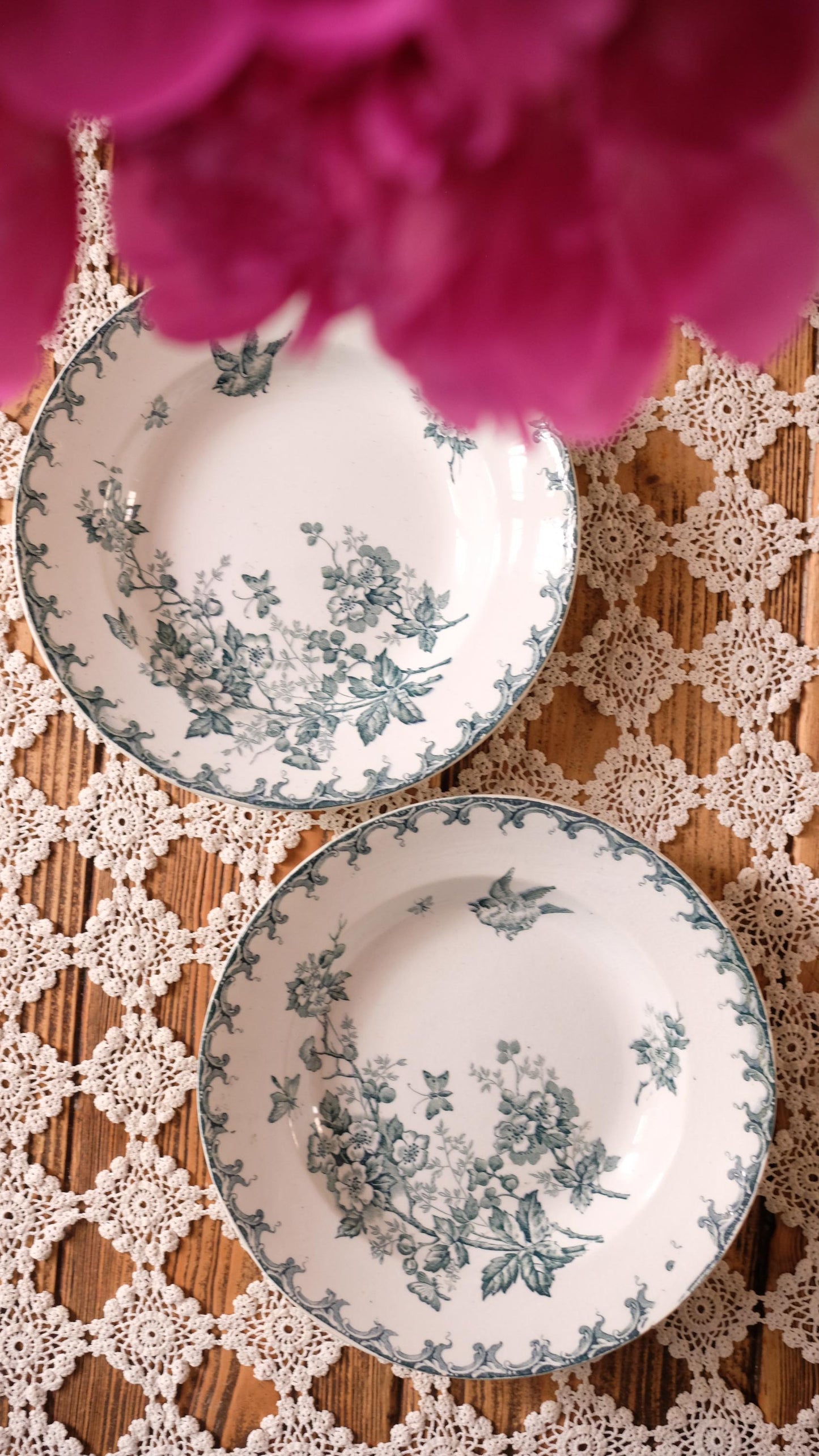 Lot de deux assiettes creuses Saint Amand Hamage vintage modèle Aubépine