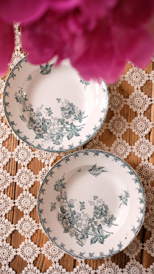 Lot de deux assiettes creuses Saint Amand Hamage vintage modèle Aubépine