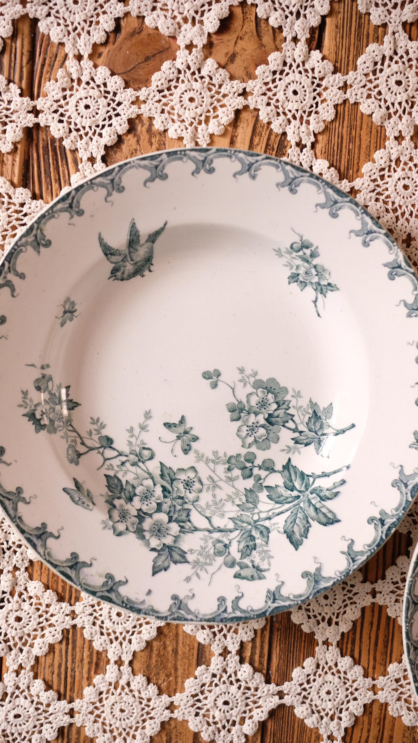 Lot de deux assiettes creuses Saint Amand Hamage vintage modèle Aubépine