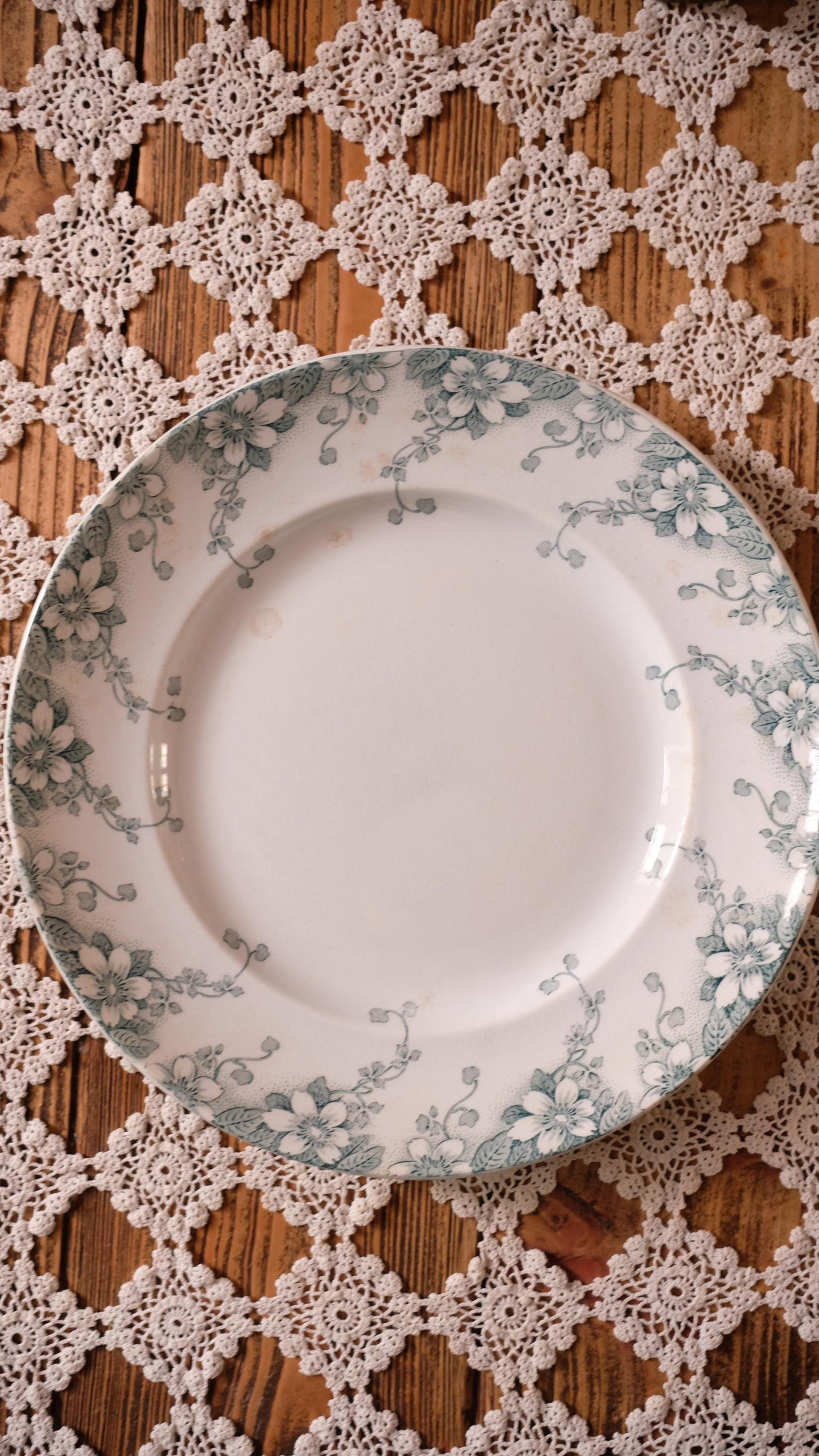 Grande assiette vintage Lunéville modèle le régent style terre de fer