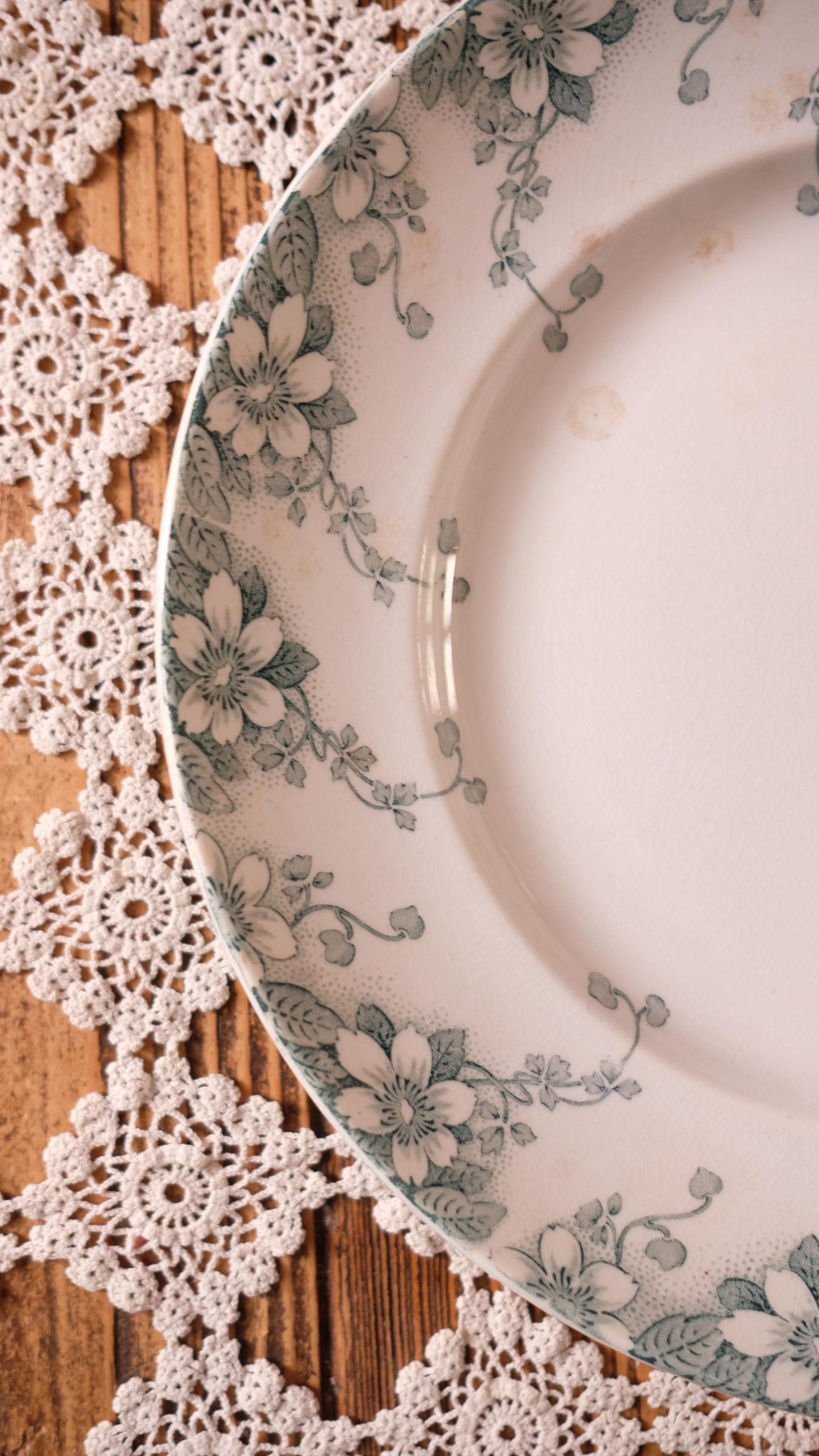Grande assiette vintage Lunéville modèle le régent style terre de fer