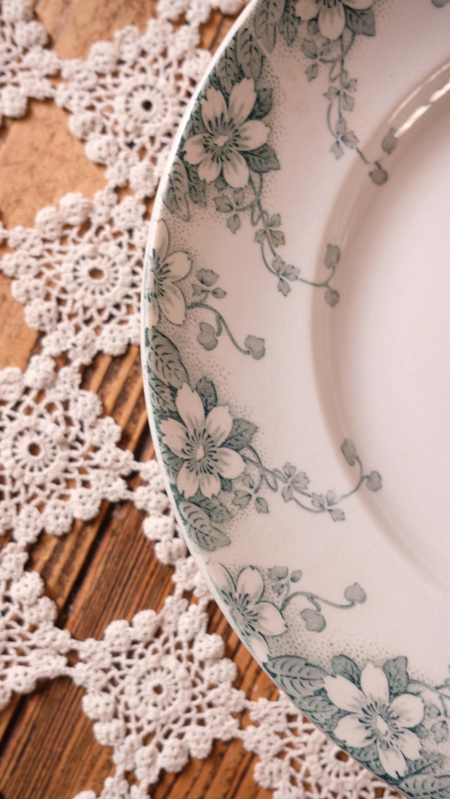 Grande assiette vintage Lunéville modèle le régent style terre de fer