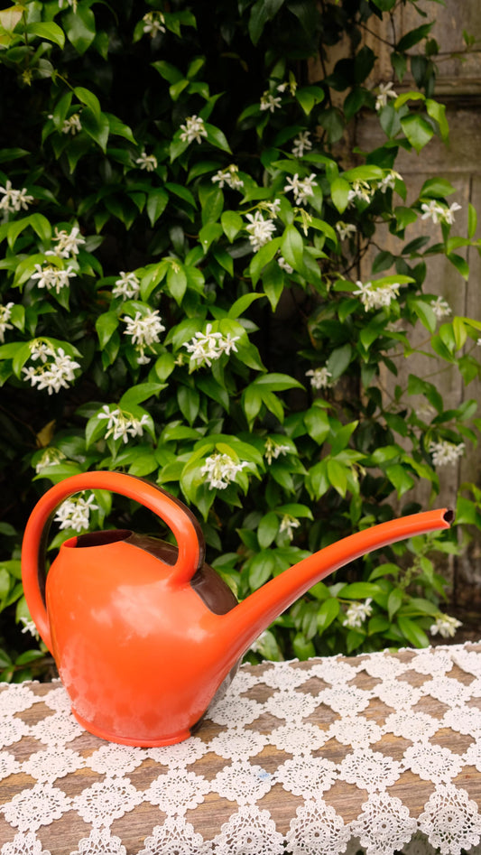 Arrosoir vintage bicolore