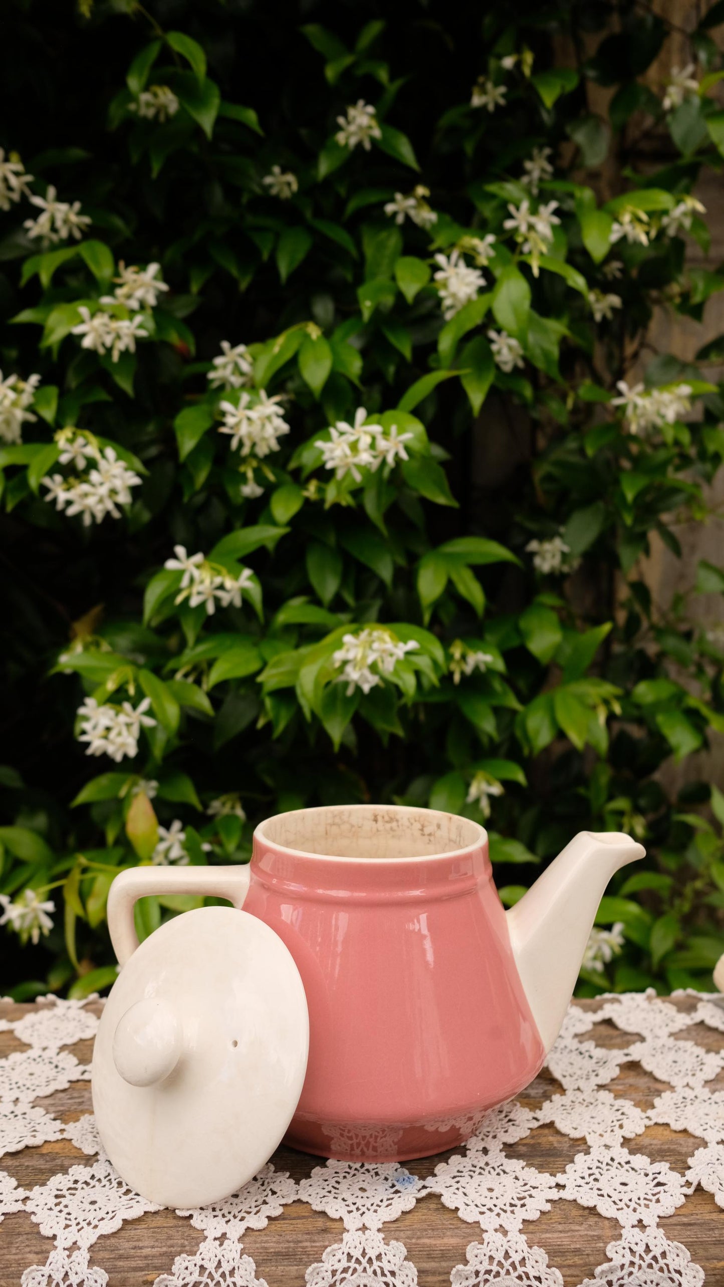 Théière Salam de Villeroy&Boch coloris framboise