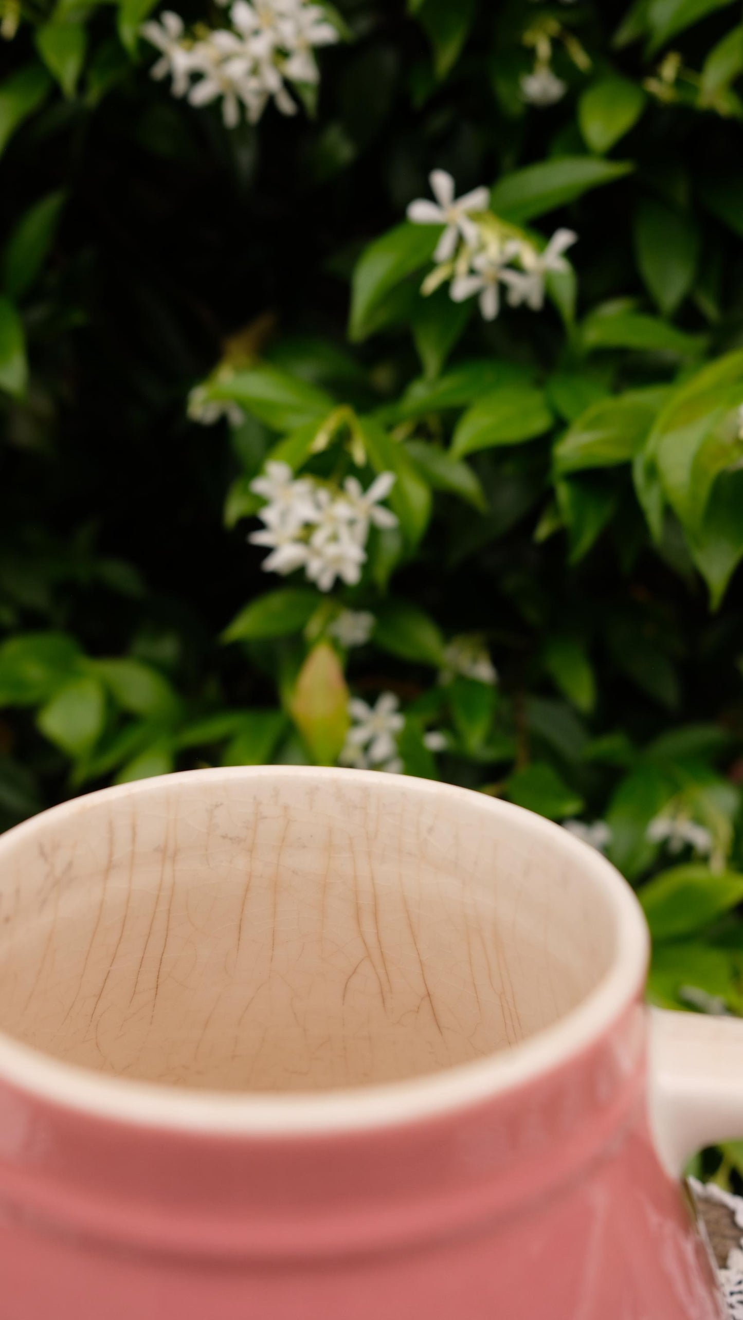 Théière Salam de Villeroy&Boch coloris framboise
