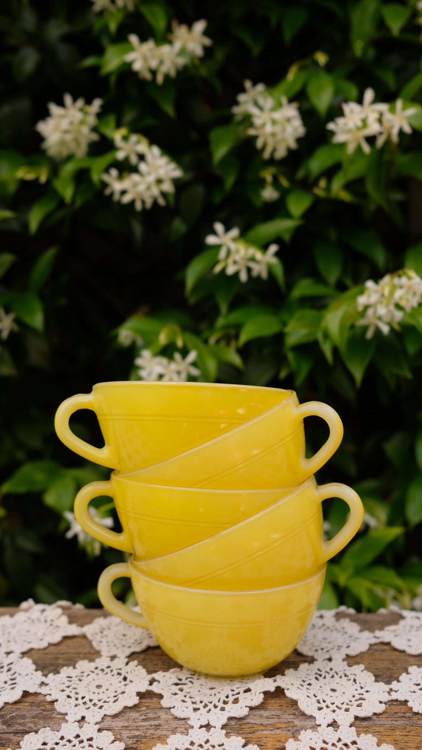 Lot de 5 tasses duralex vintage