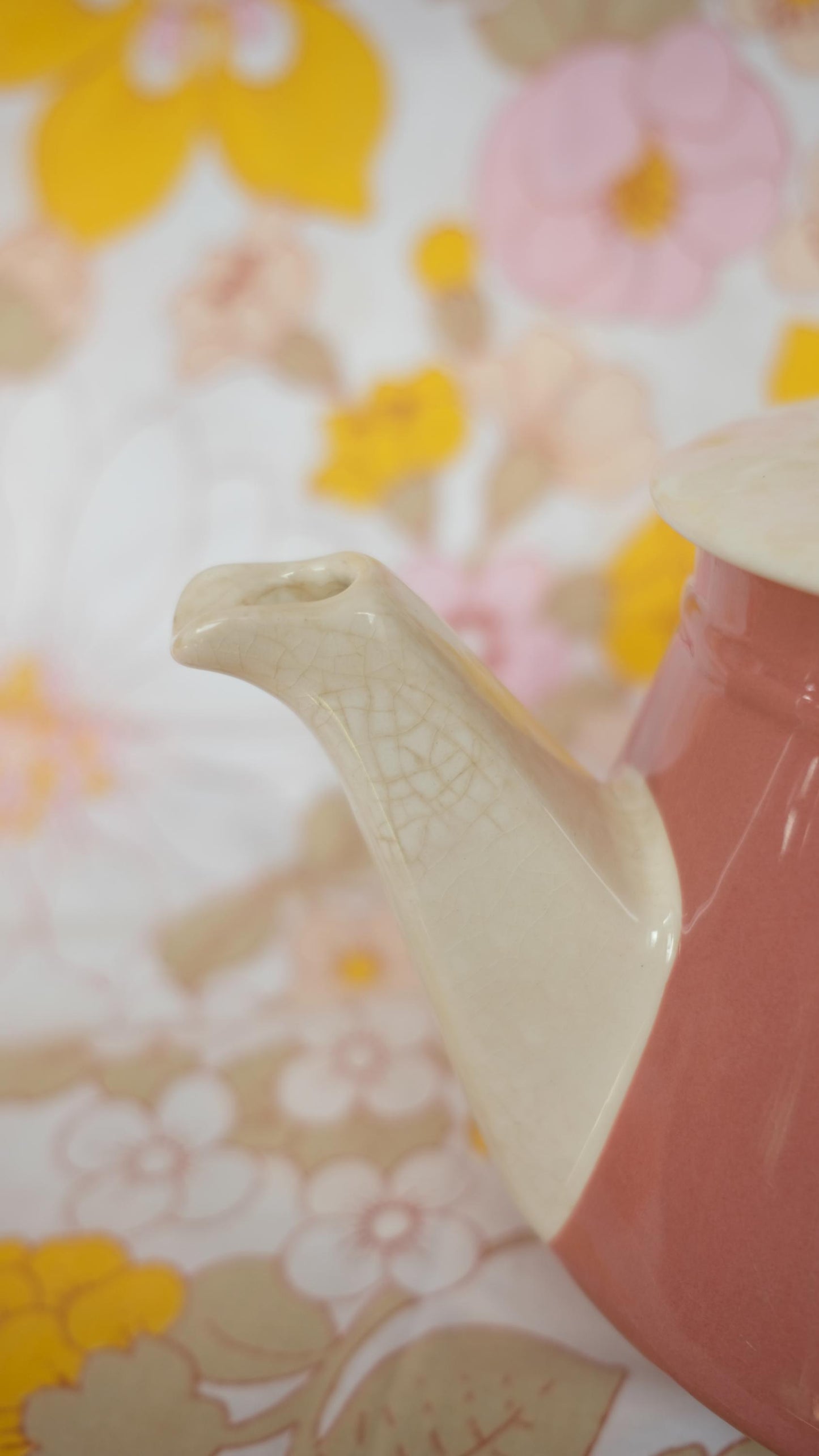 Cafetière Salam Villeroy et Boch Rose framboise