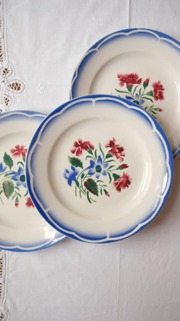 Assiettes Digoin Sarreguemines modèle Elorn