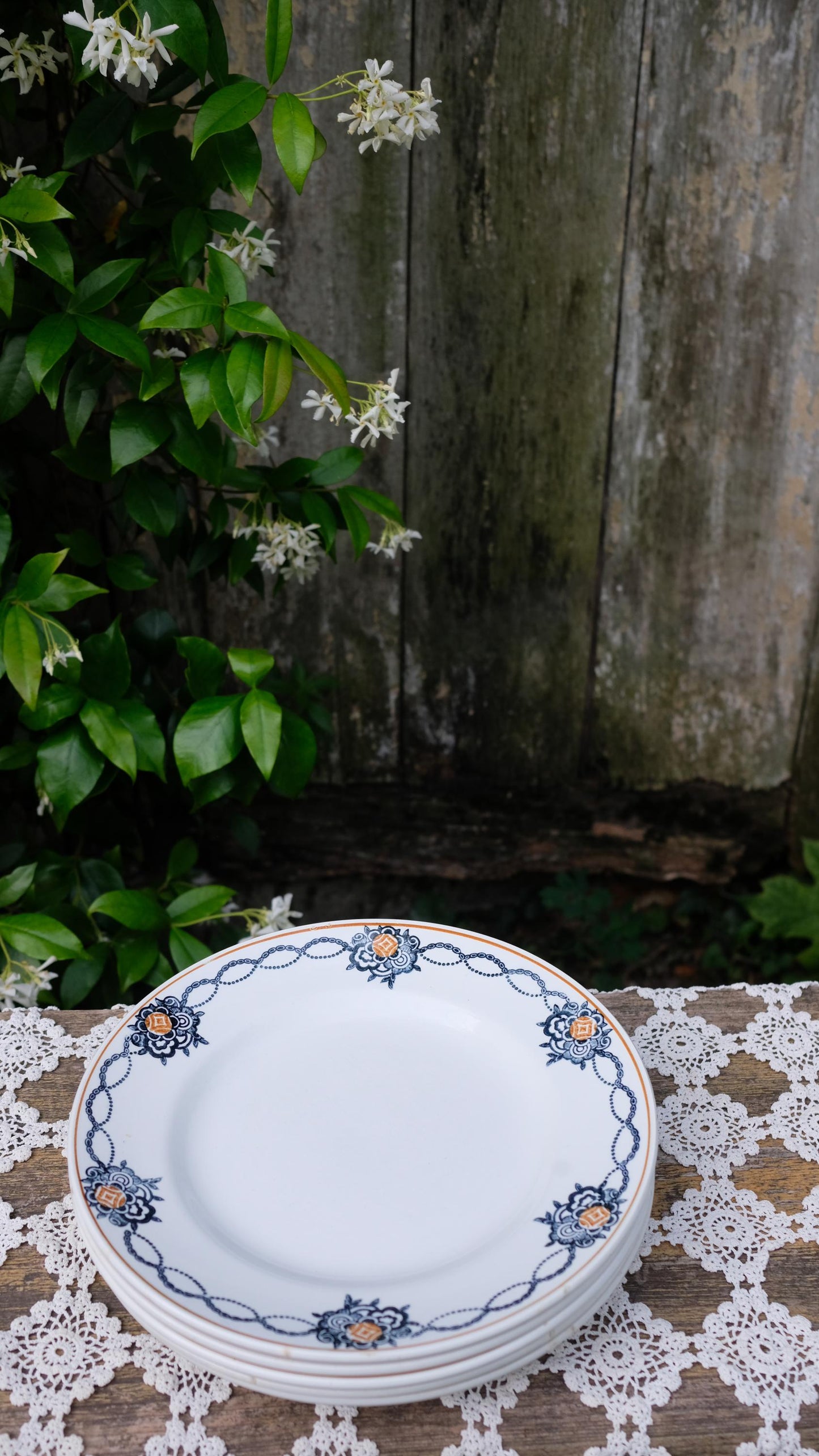Lot de cinq assiettes saint Amand l'amandinoise vintage