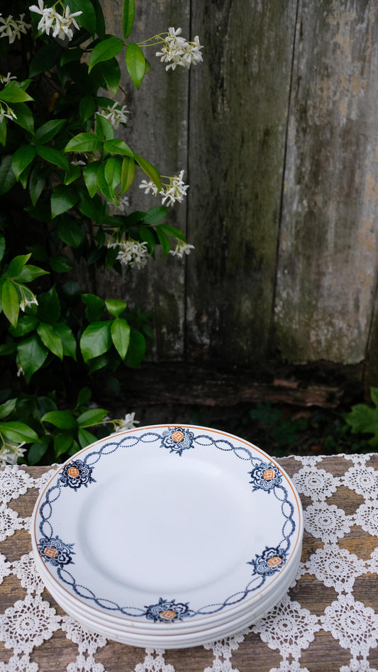 Lot de cinq assiettes saint Amand l'amandinoise vintage