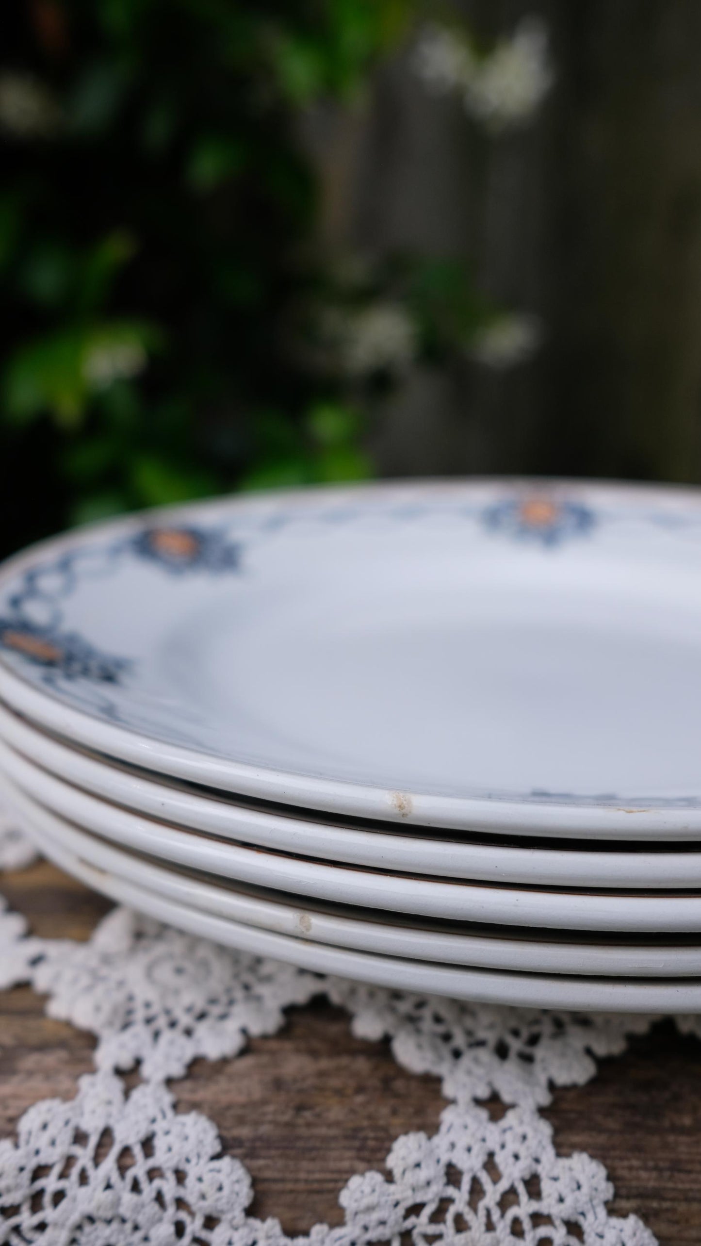 Lot de cinq assiettes saint Amand l'amandinoise vintage