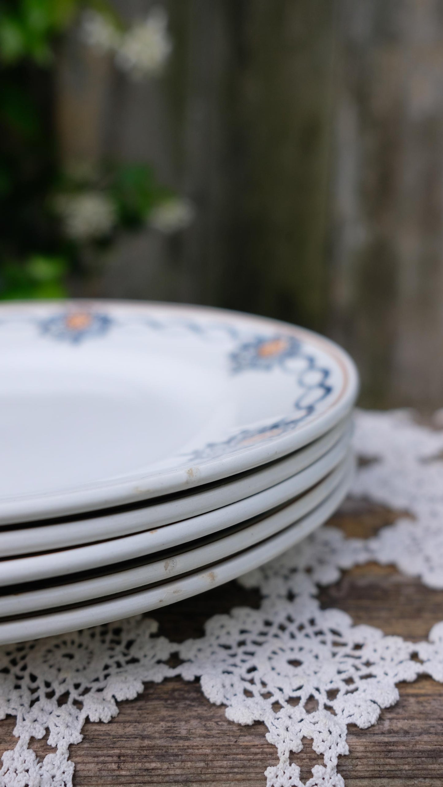 Lot de cinq assiettes saint Amand l'amandinoise vintage