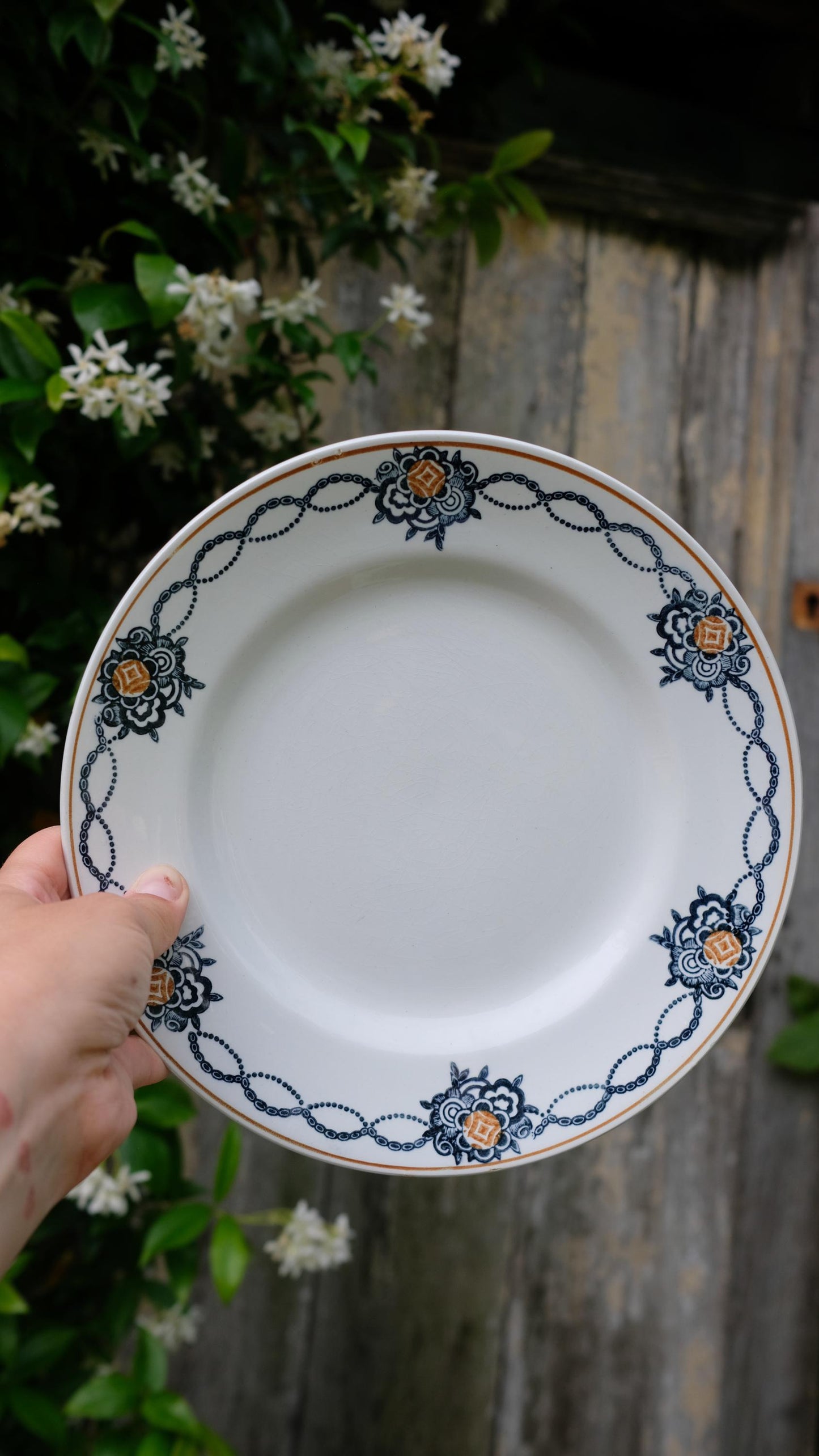 Lot de cinq assiettes saint Amand l'amandinoise vintage