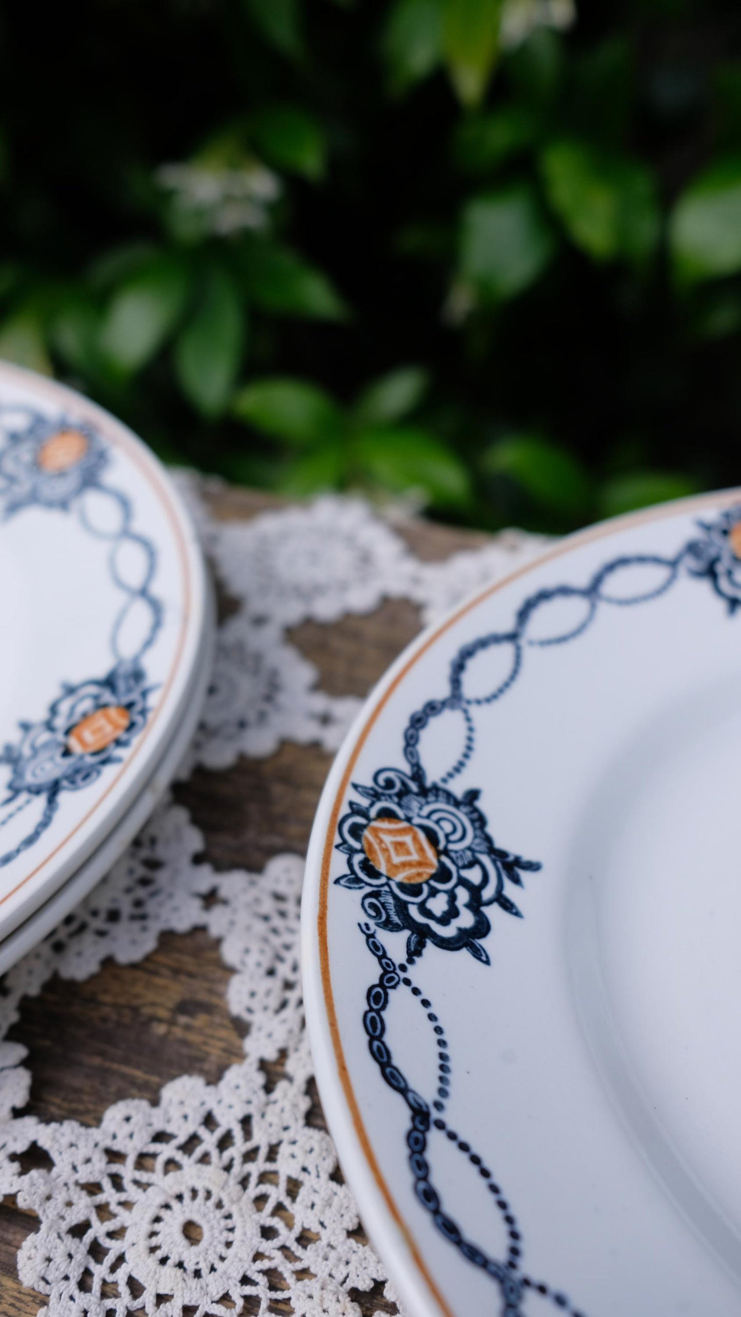 Lot de cinq assiettes saint Amand l'amandinoise vintage