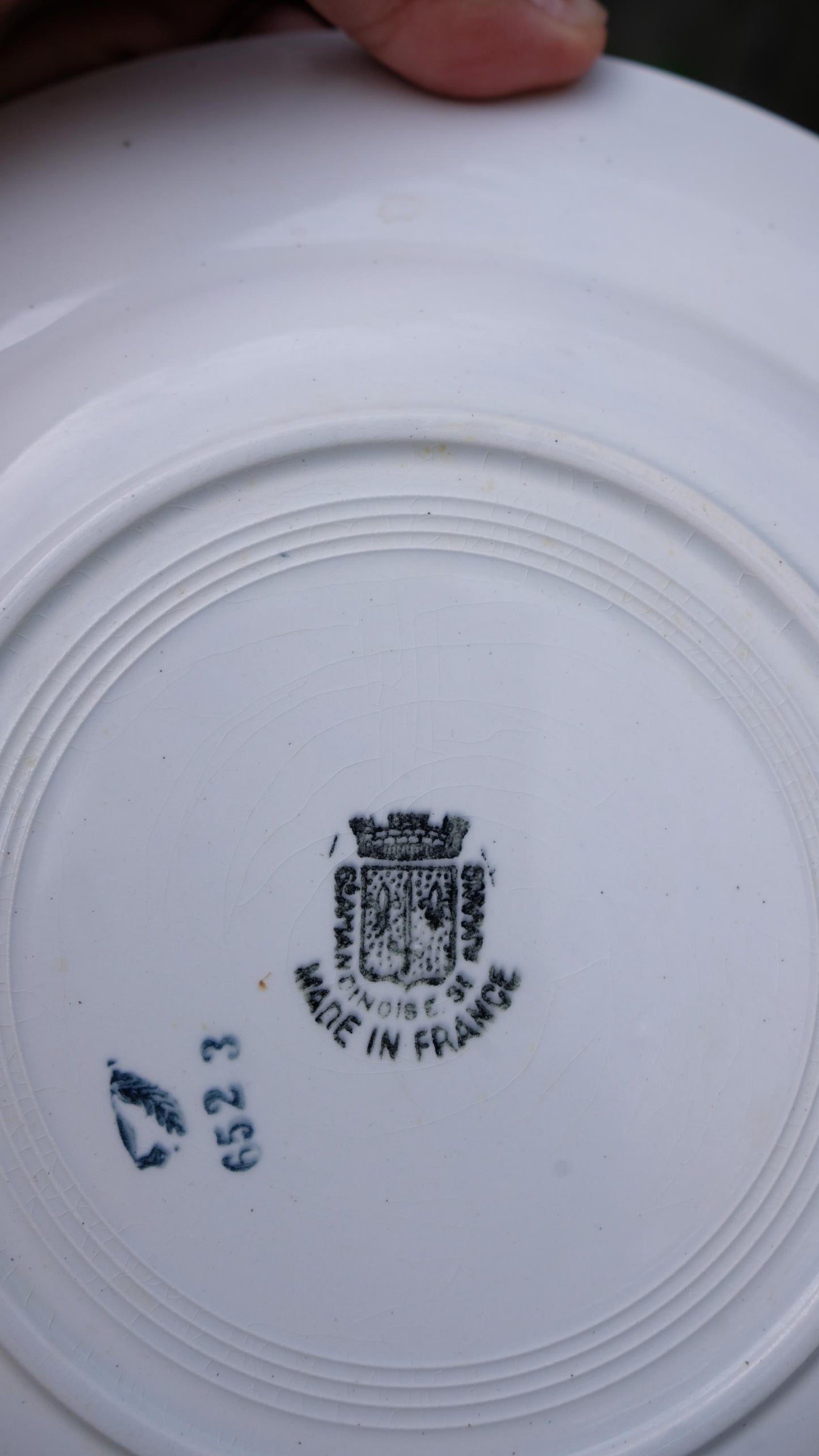 Lot de cinq assiettes saint Amand l'amandinoise vintage