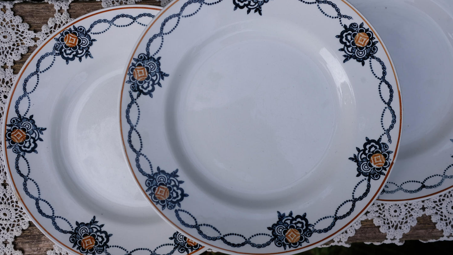 Lot de cinq assiettes saint Amand l'amandinoise vintage