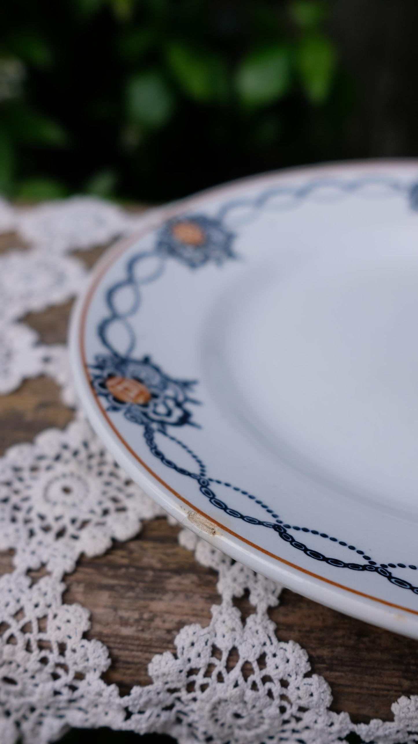 Lot de cinq assiettes saint Amand l'amandinoise vintage