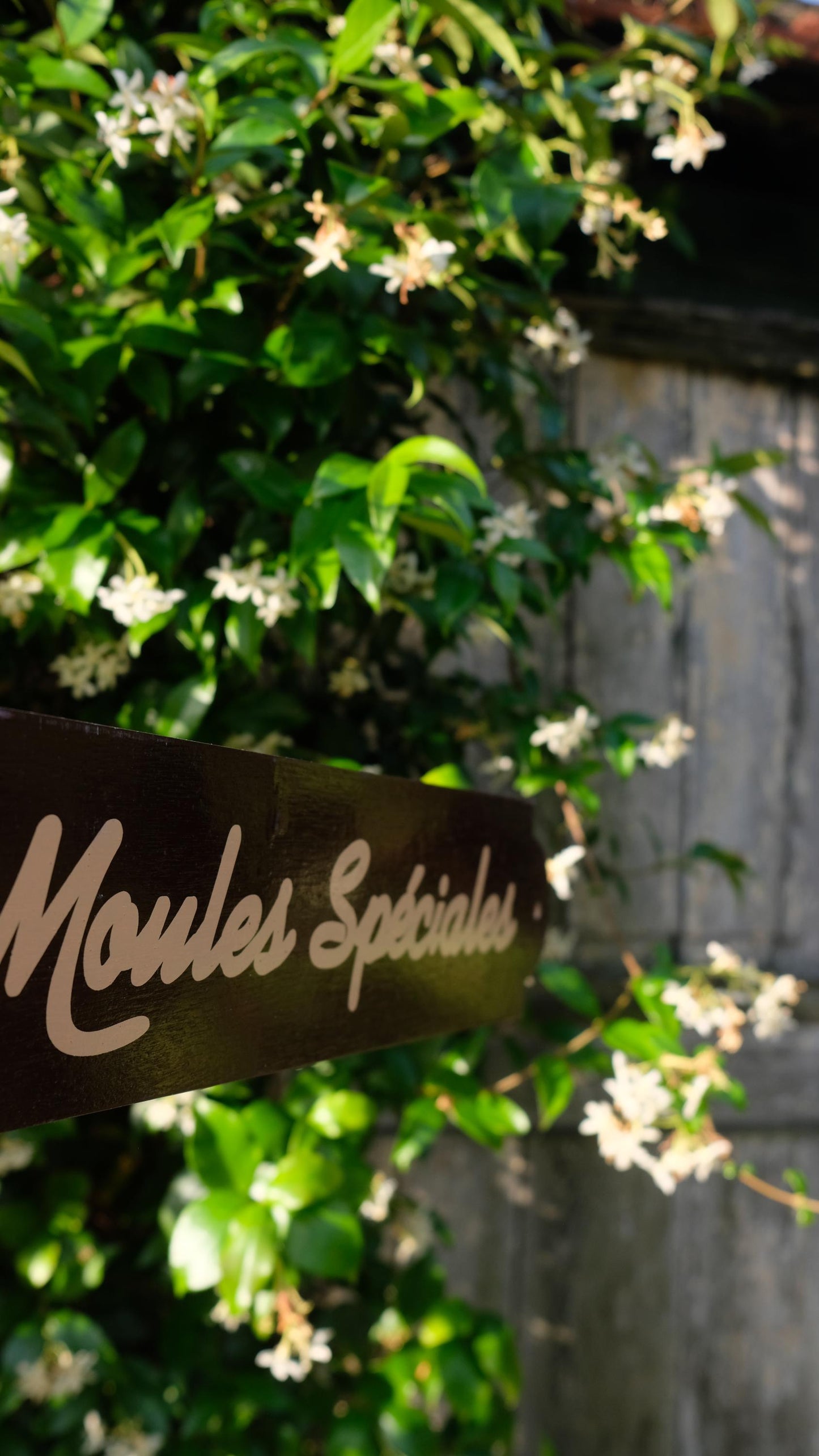 Pancarte en bois "moules spéciales" Léon de Bruxelles