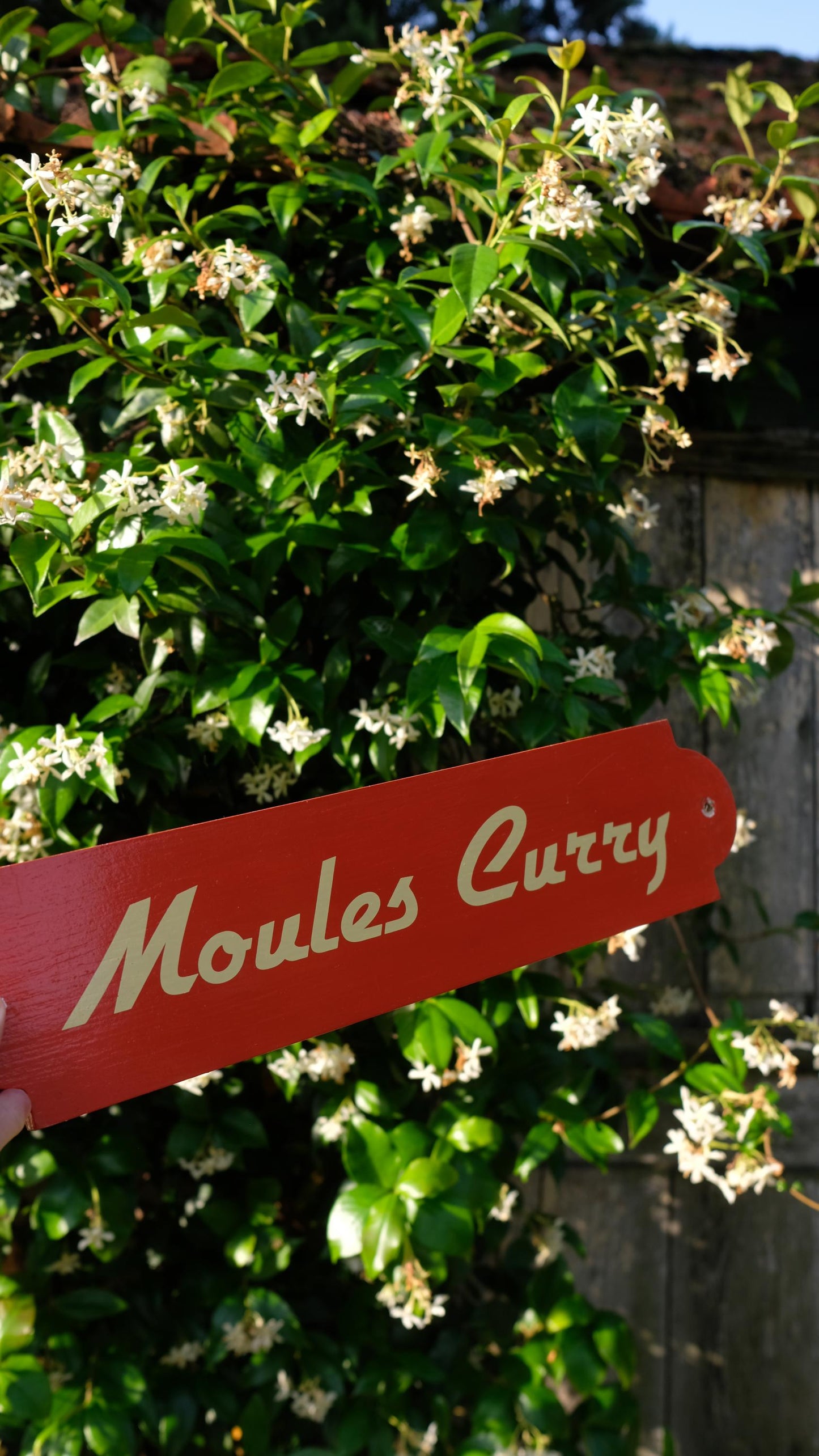 Pancarte en bois "moules curry" Léon de Bruxelles