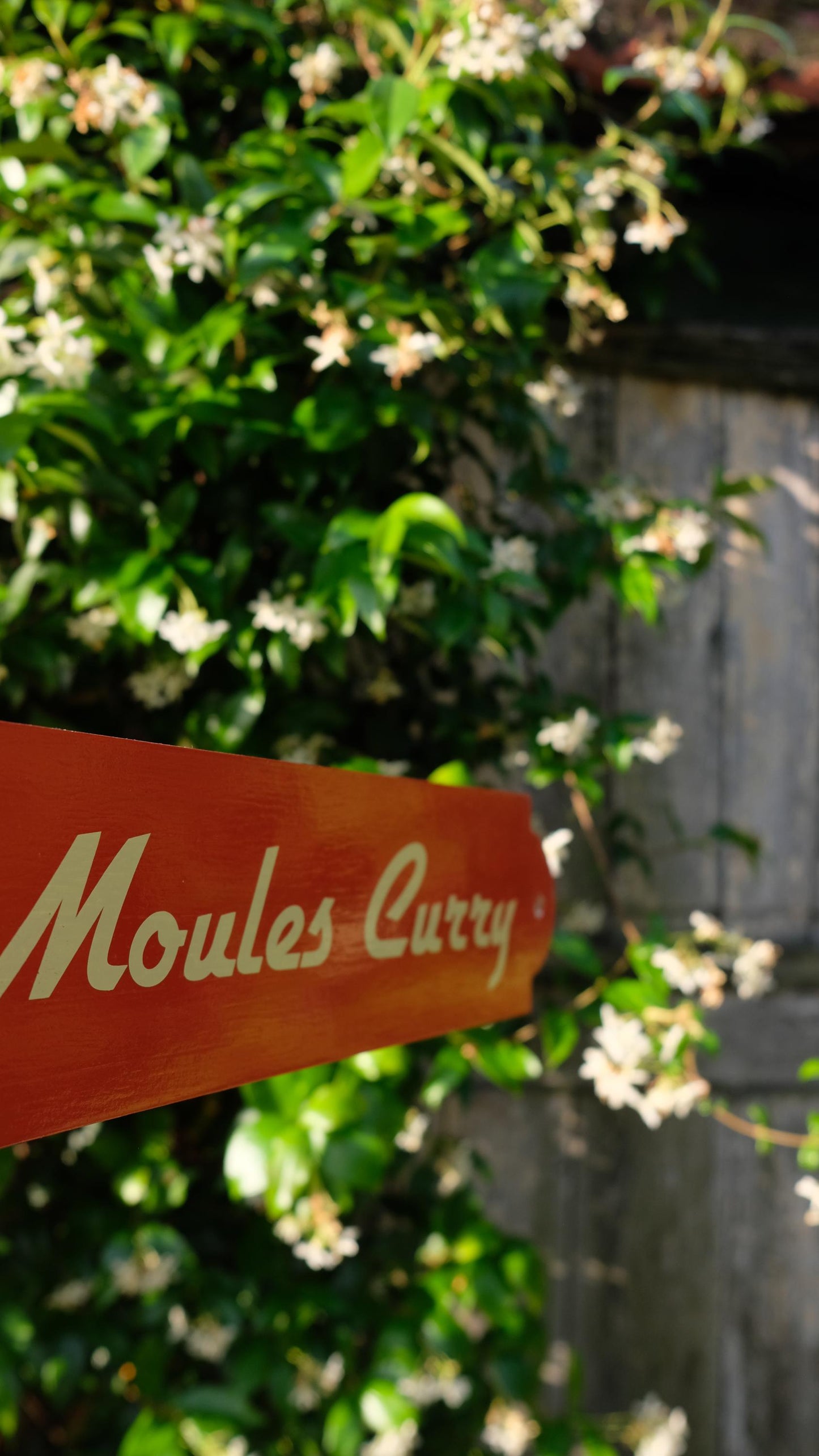 Pancarte en bois "moules curry" Léon de Bruxelles