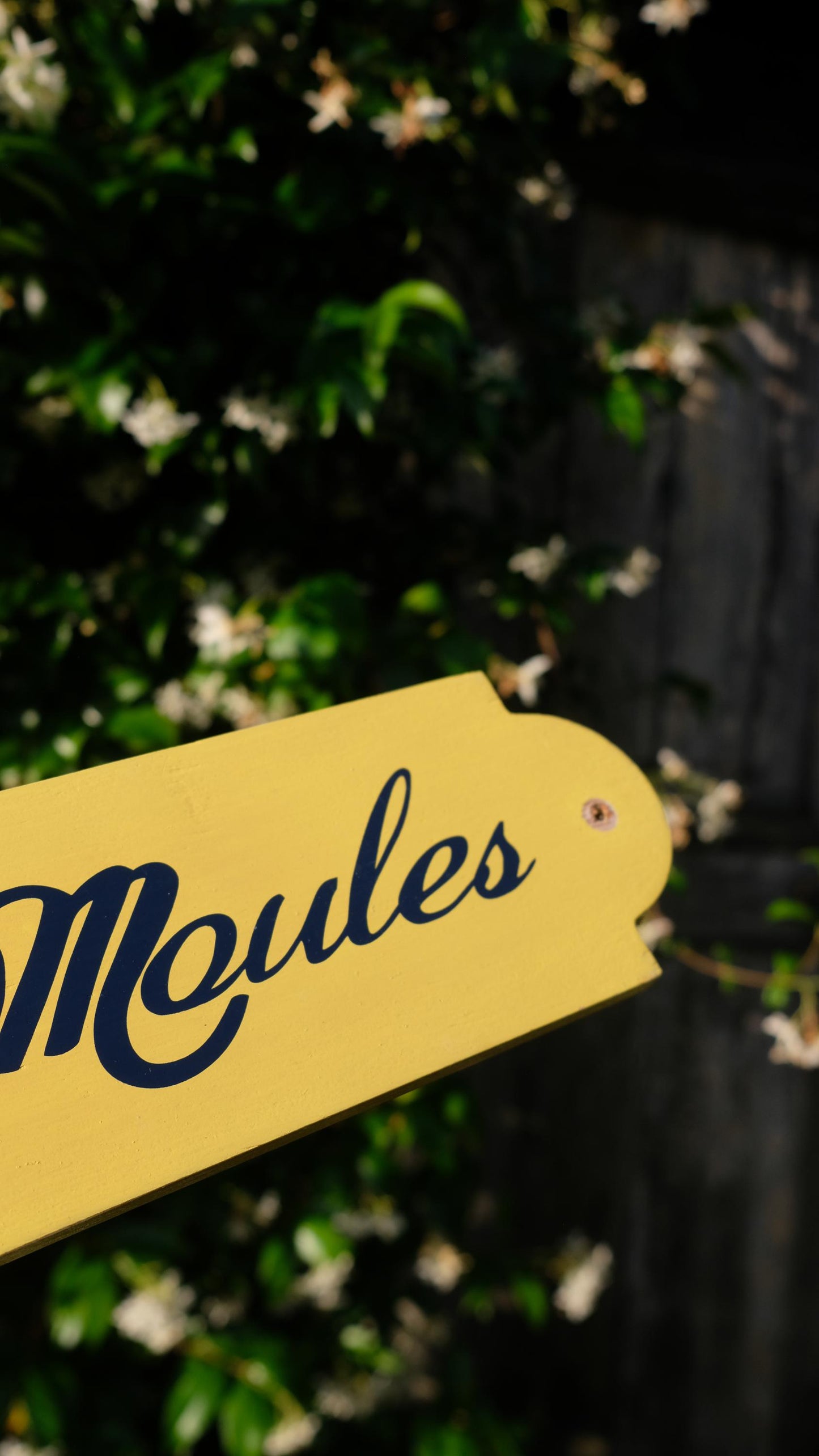 Pancarte en bois "Friture moules" léon de bruxelles