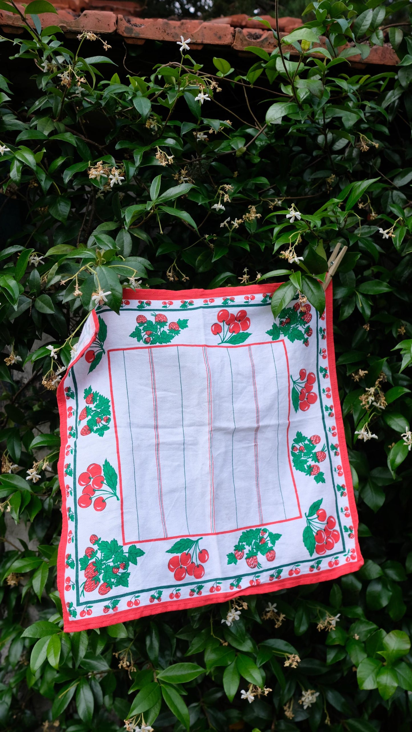 Lot de deux torchons vintage motifs fruits en coton