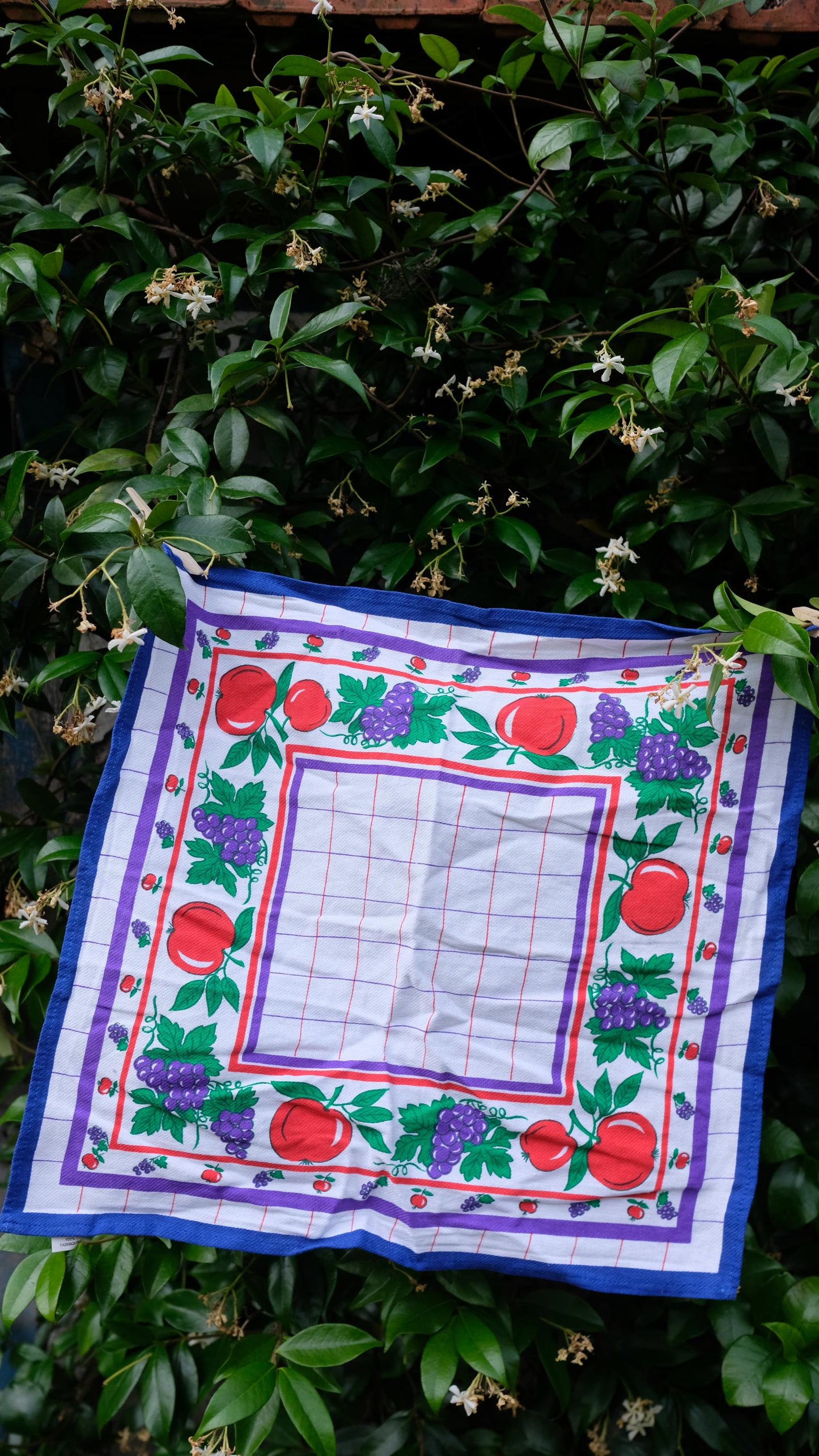 Lot de deux torchons vintage motifs fruits en coton