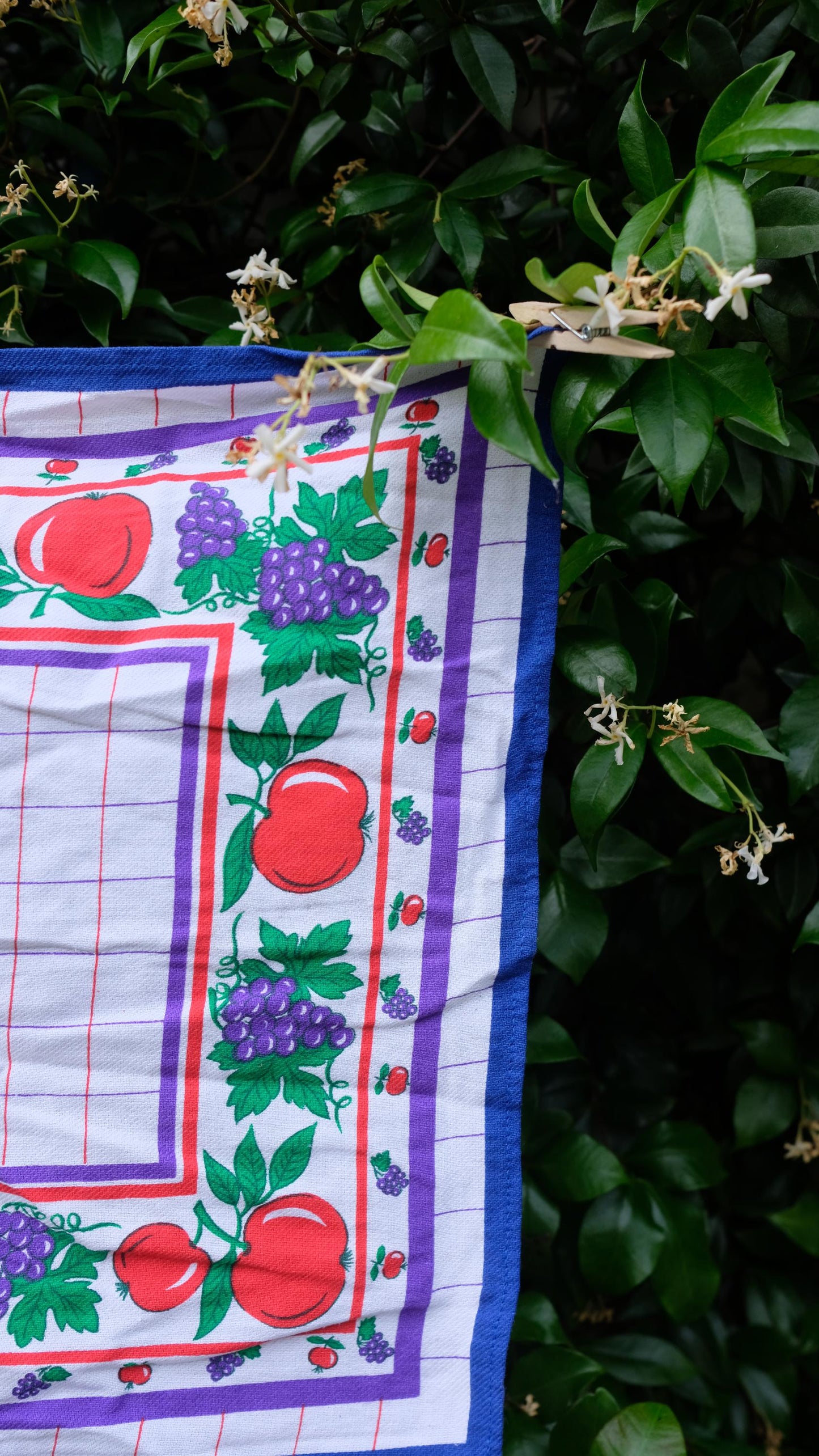 Lot de deux torchons vintage motifs fruits en coton