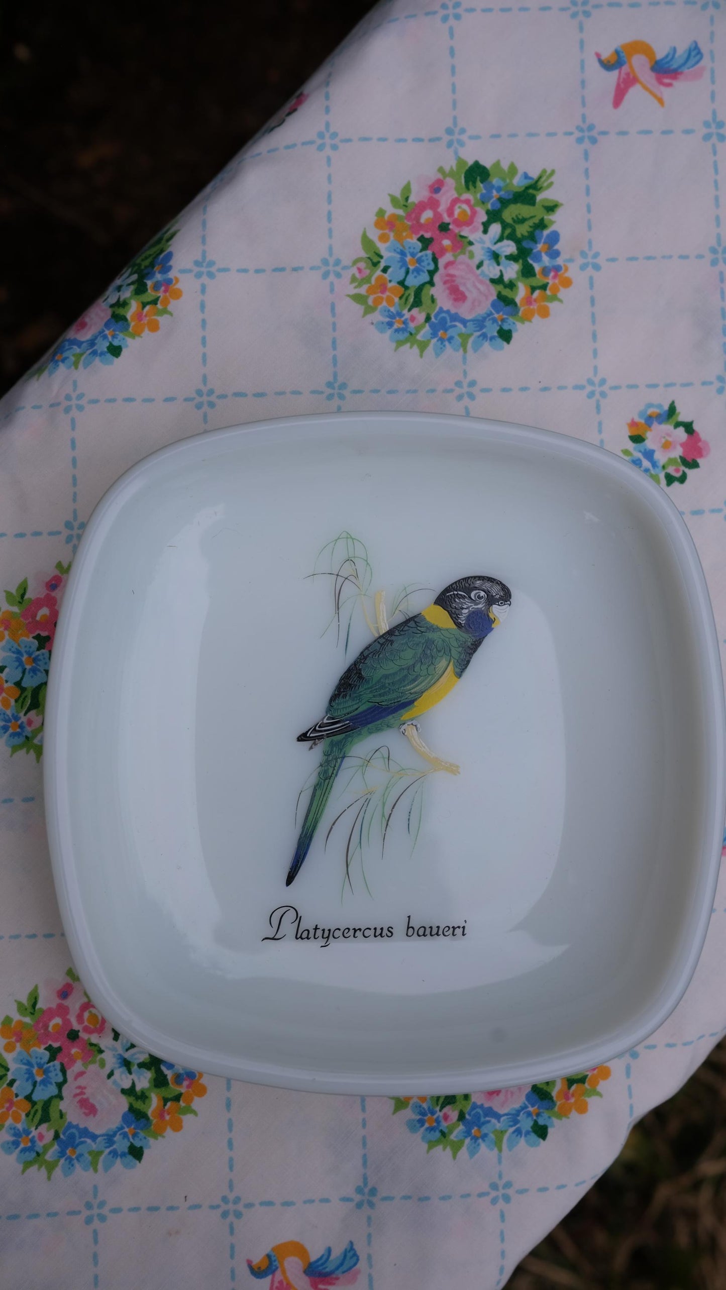 Cendrier/vide poche vintage en opalex motif perroquet