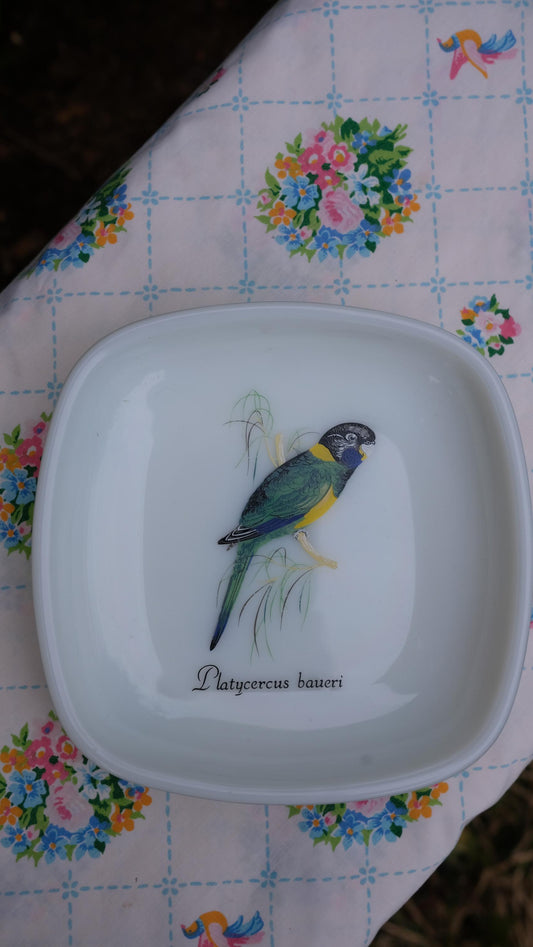 Cendrier/vide poche vintage en opalex motif perroquet