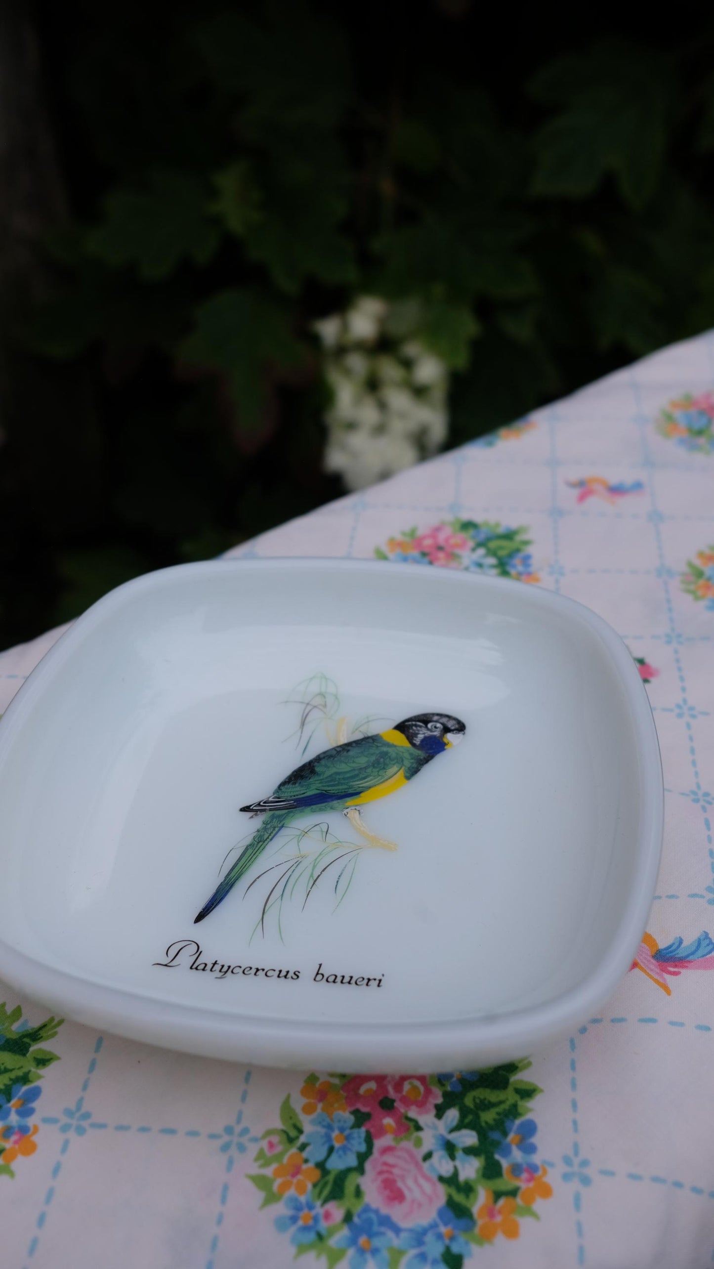 Cendrier/vide poche vintage en opalex motif perroquet