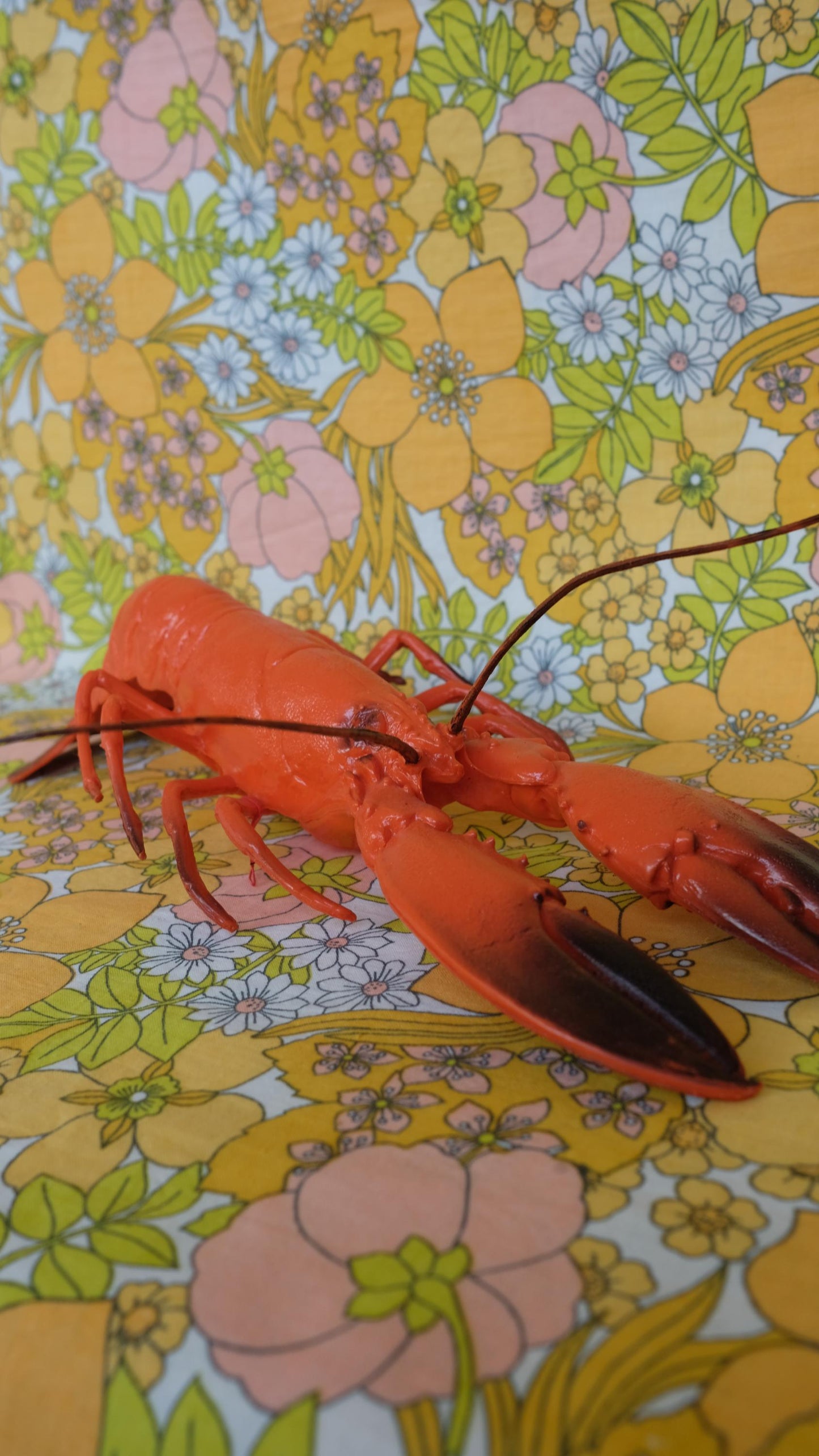 Homard de poissonnerie en plastique