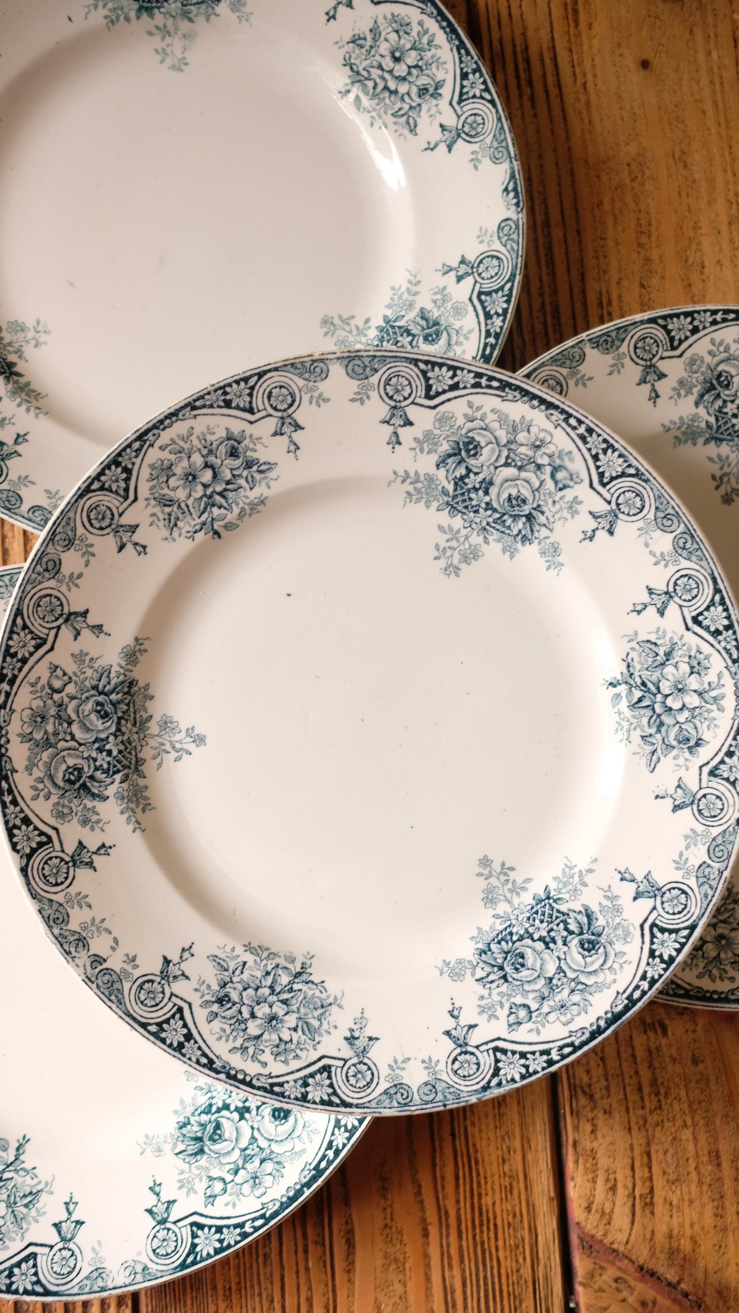Lot de dix assiettes plates terre de fer l'amandinoise modèle pompadour
