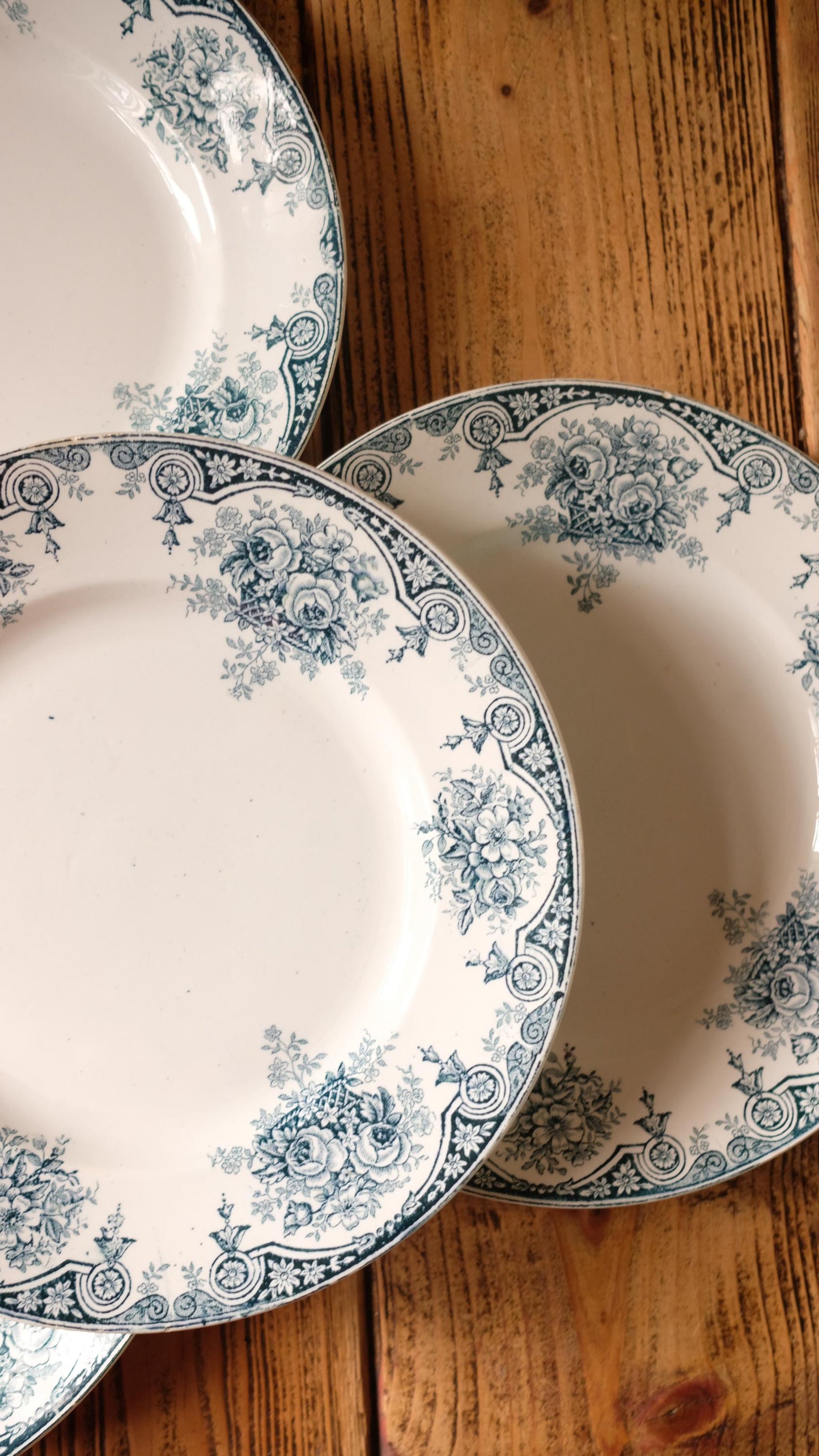 Lot de dix assiettes plates terre de fer l'amandinoise modèle pompadour